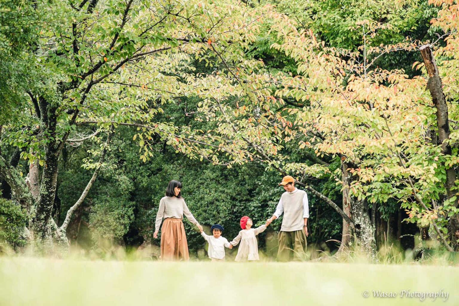 兵庫：北山緑化植物園