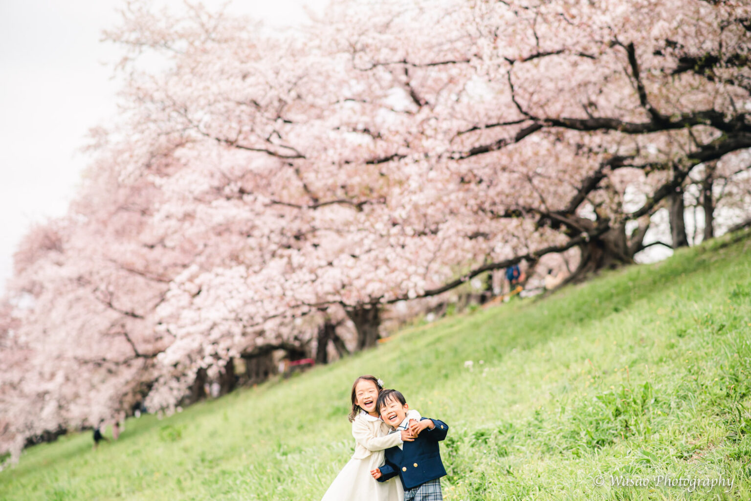 京都：淀川河川公園　背割堤地区