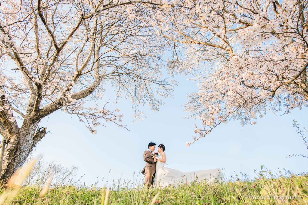 京都前撮り：丹波篠山
