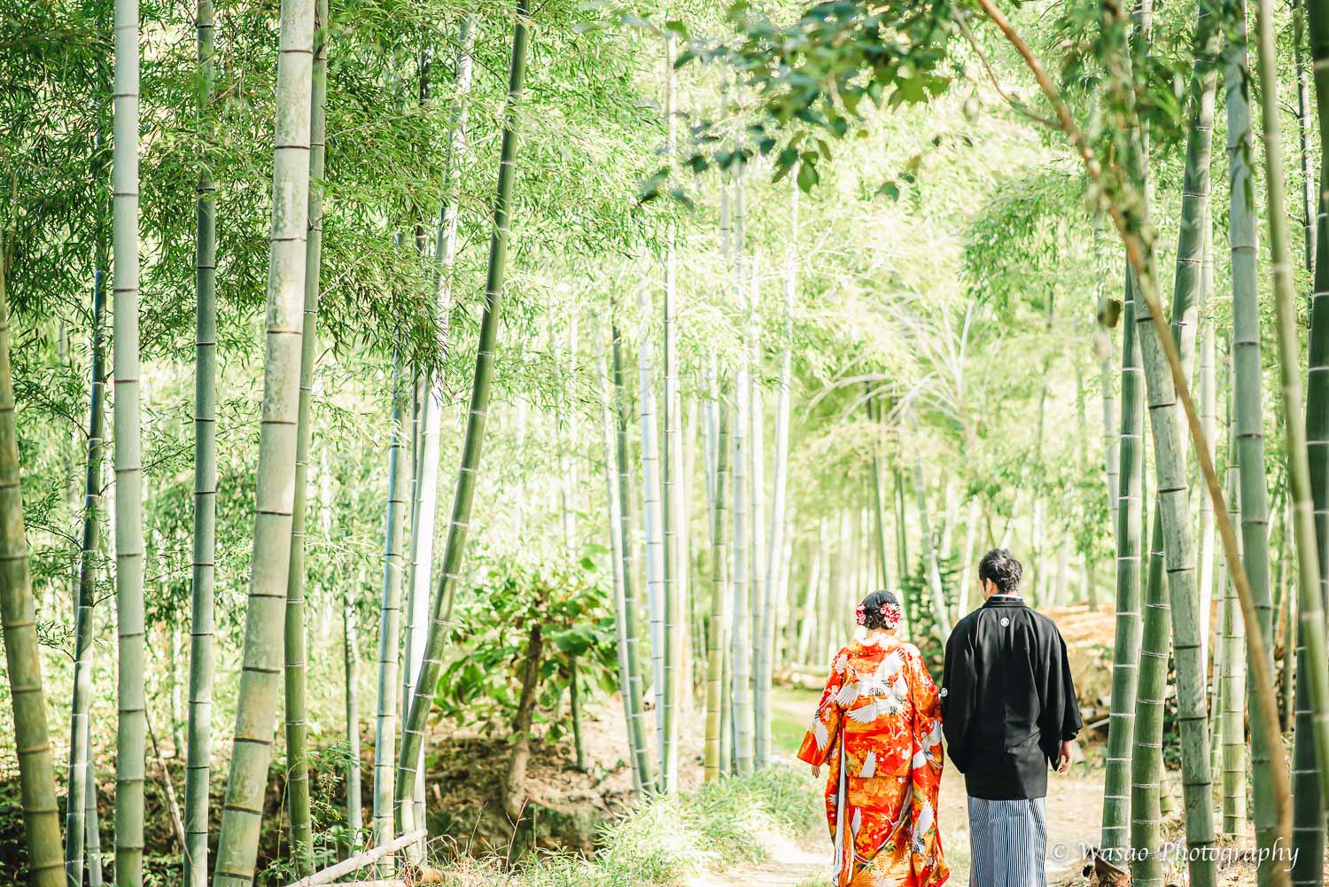 京都前撮り:洛西口 竹林の森 嵐山