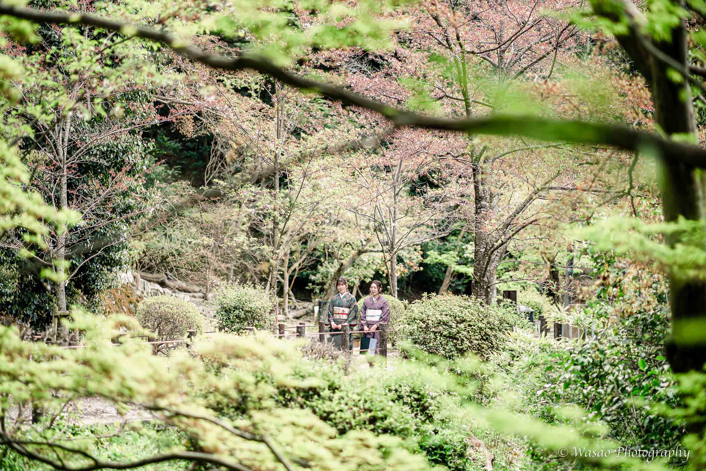 京都：哲学の道　南禅寺