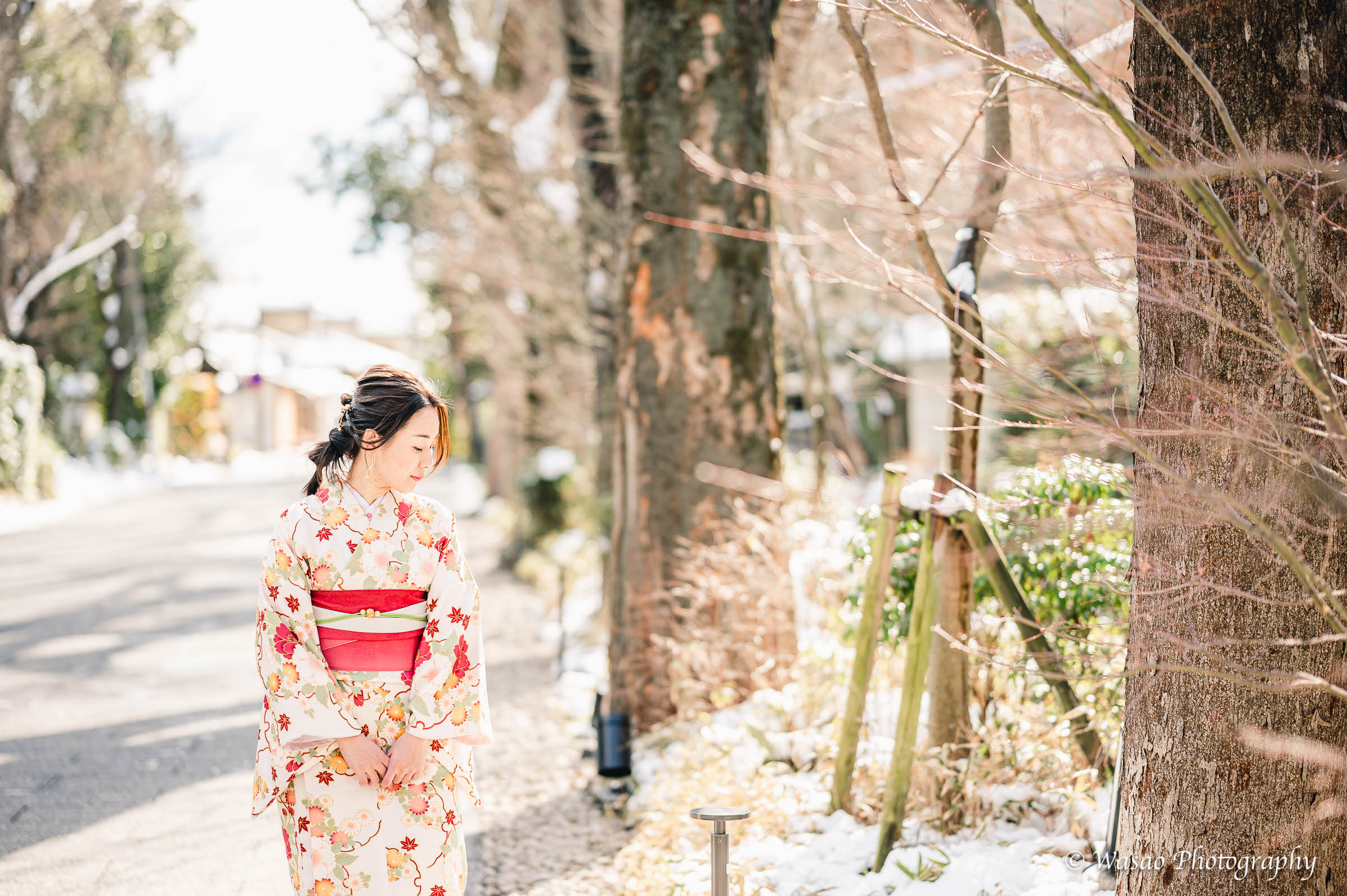 京都：下鴨神社