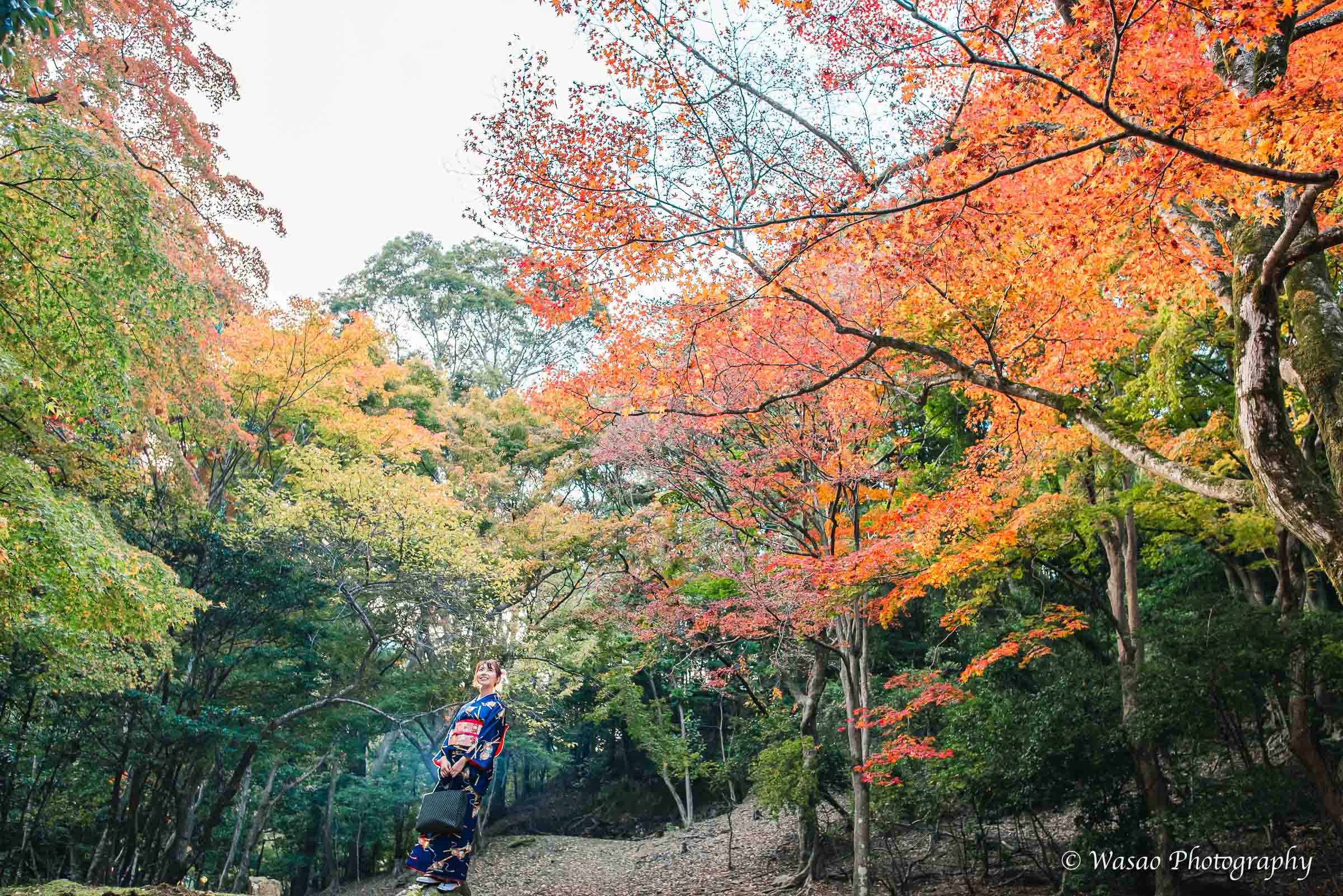 京都：嵐山　渡月橋　嵐山公園