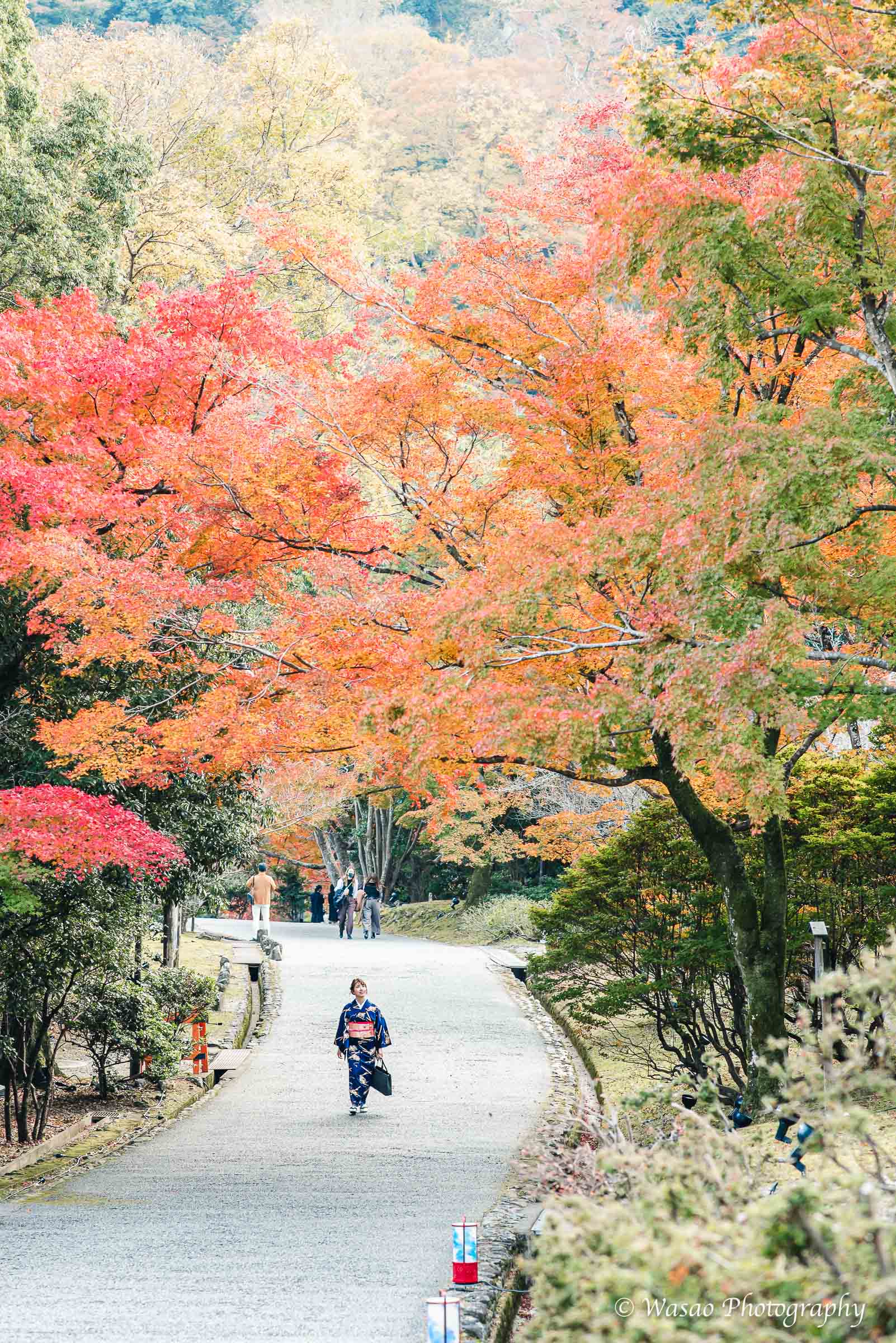 京都：嵐山　渡月橋　嵐山公園