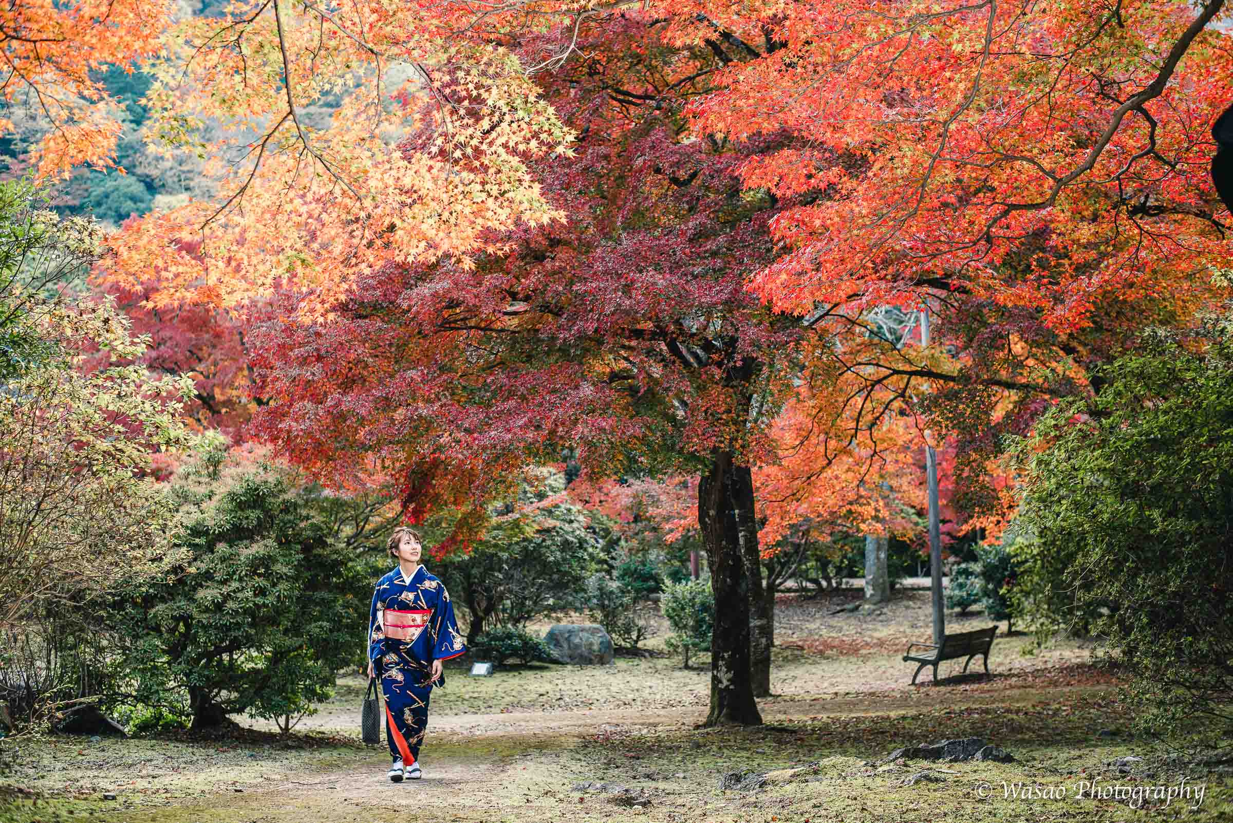 京都：嵐山　渡月橋　嵐山公園
