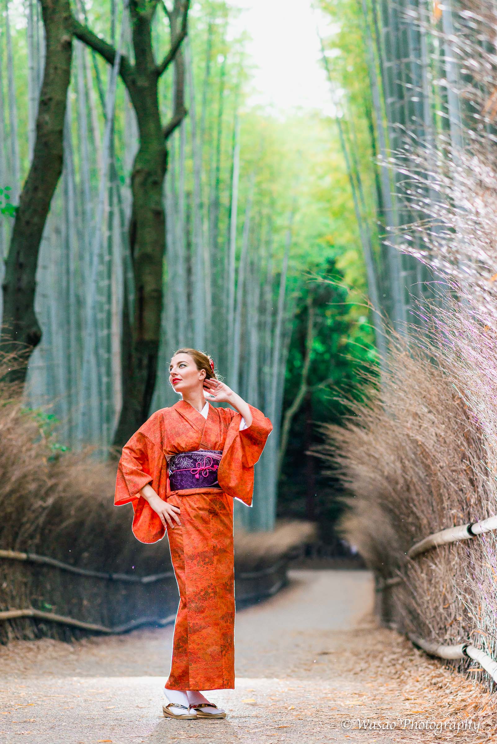京都：嵐山　竹林の小径　嵯峨鳥居本　