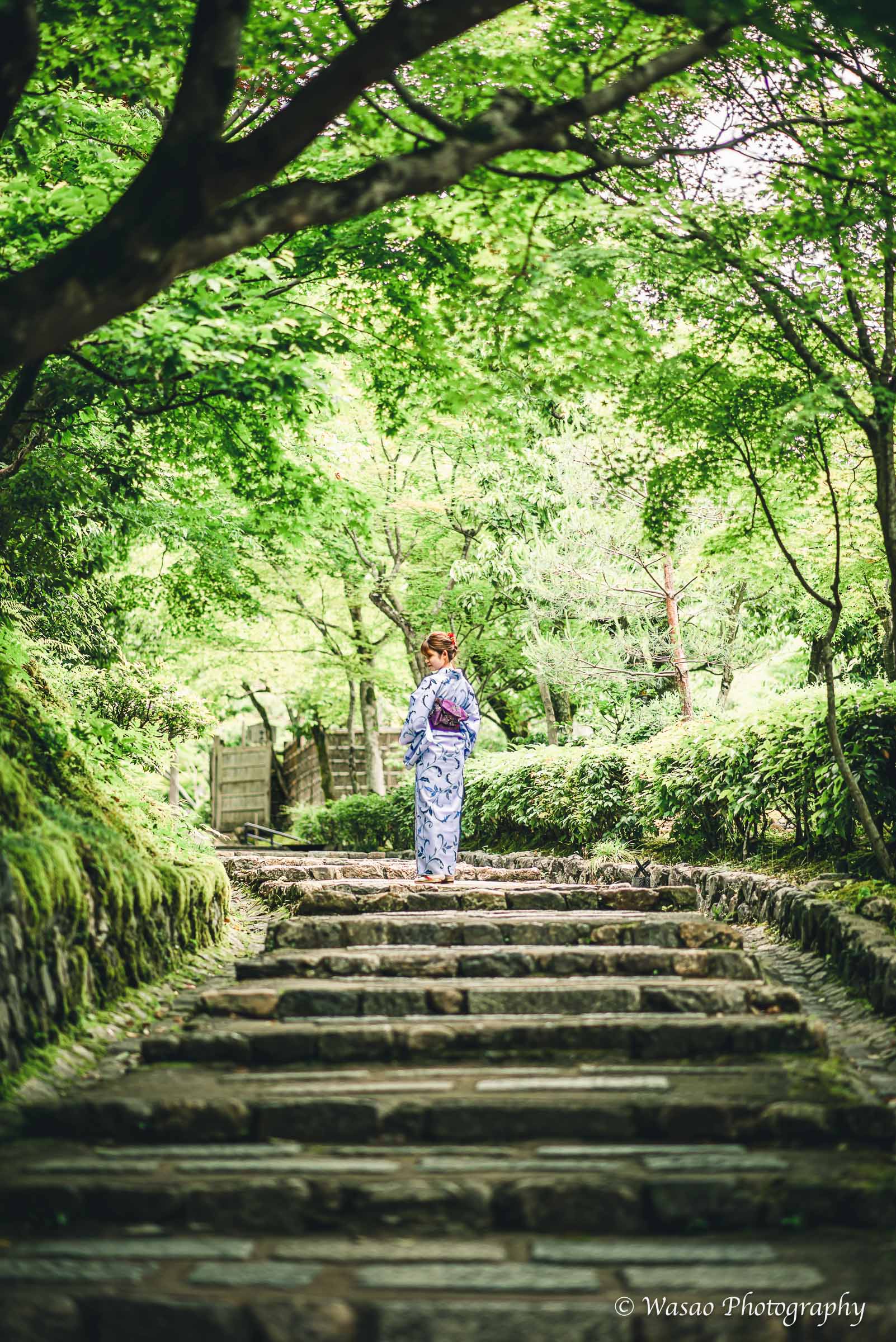 京都：嵐山　竹林の小径　嵯峨鳥居本　