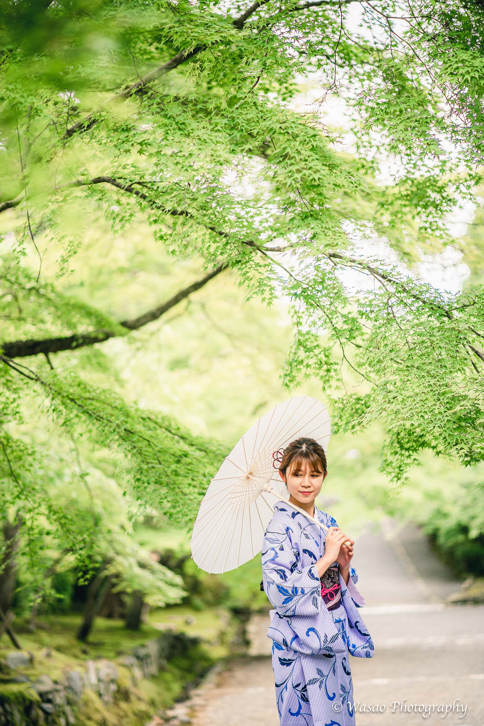 京都：嵐山　竹林の小径　嵯峨鳥居本　