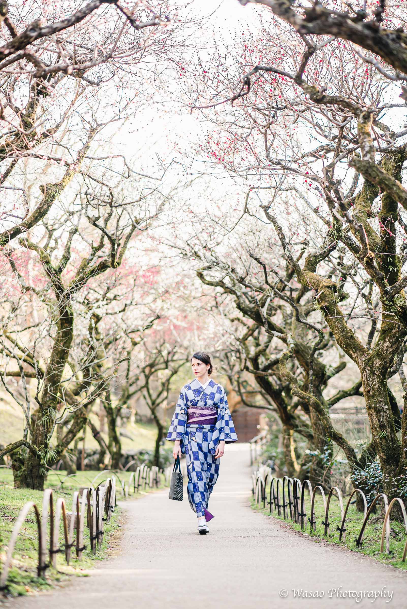 京都：北野天満宮