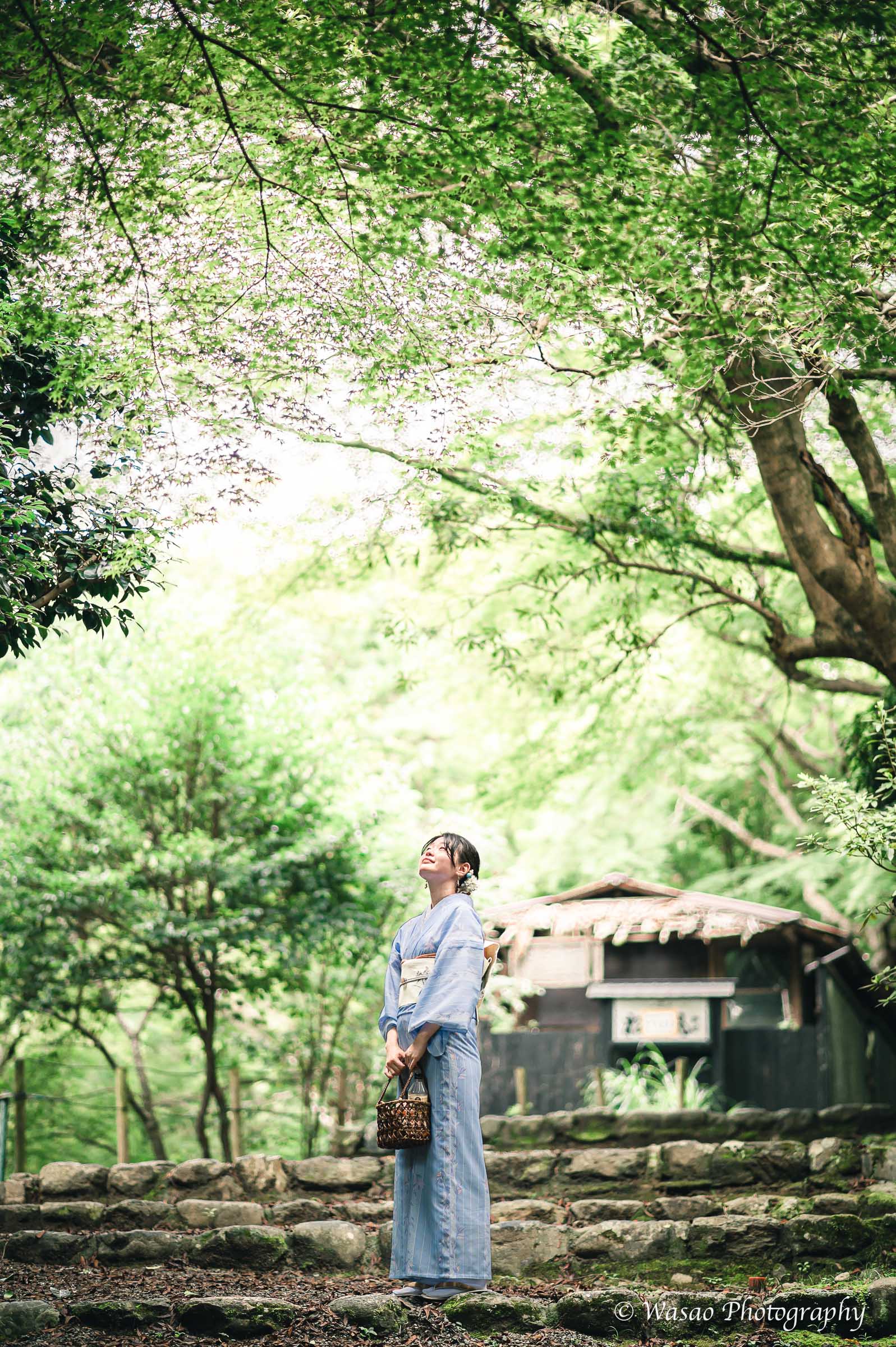 京都：嵐山　渡月橋　嵐山公園