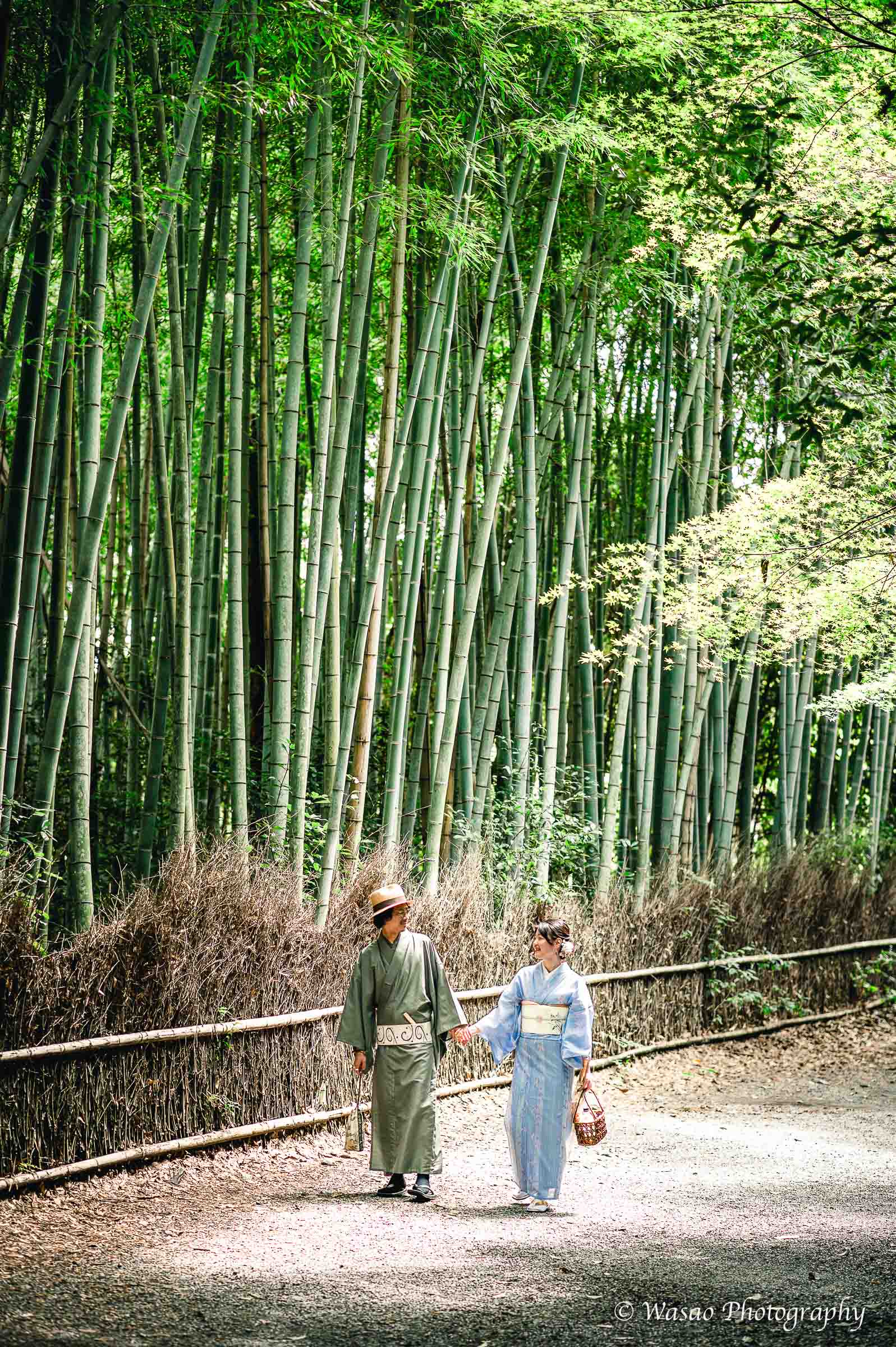 京都：嵐山　竹林の小径　嵯峨鳥居本　