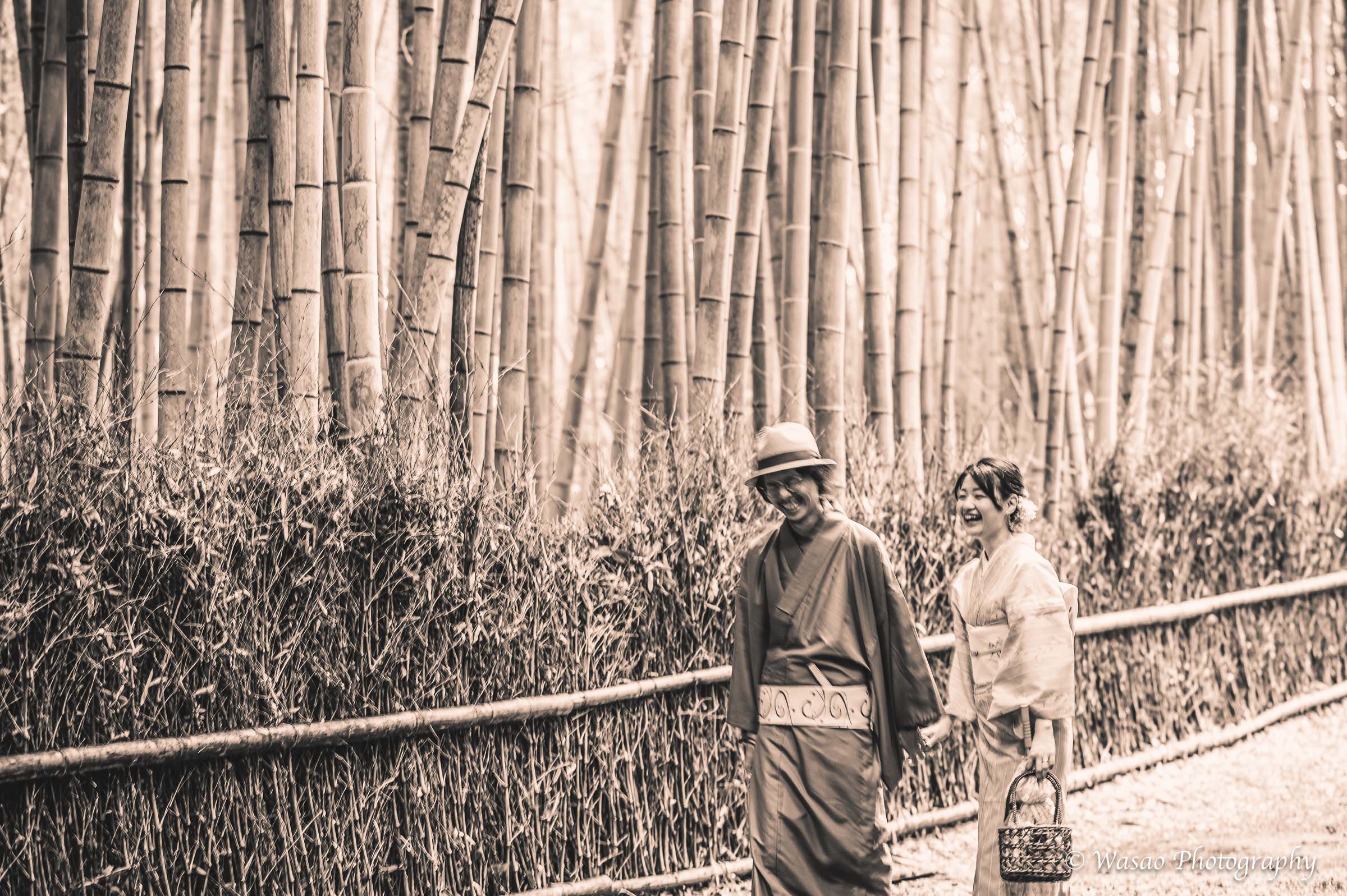 京都：嵐山　竹林の小径　嵯峨鳥居本　