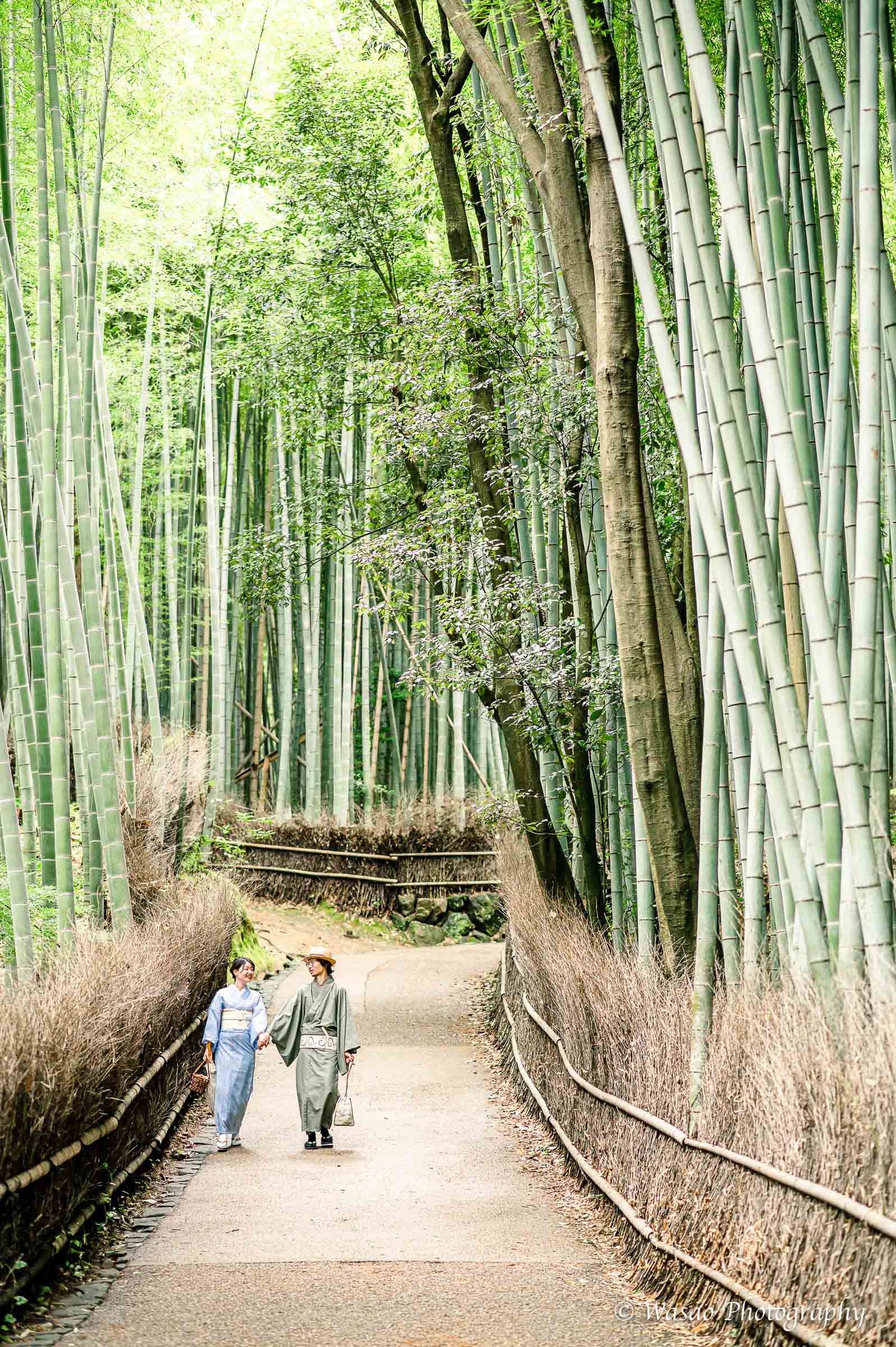 京都：嵐山　竹林の小径　嵯峨鳥居本　