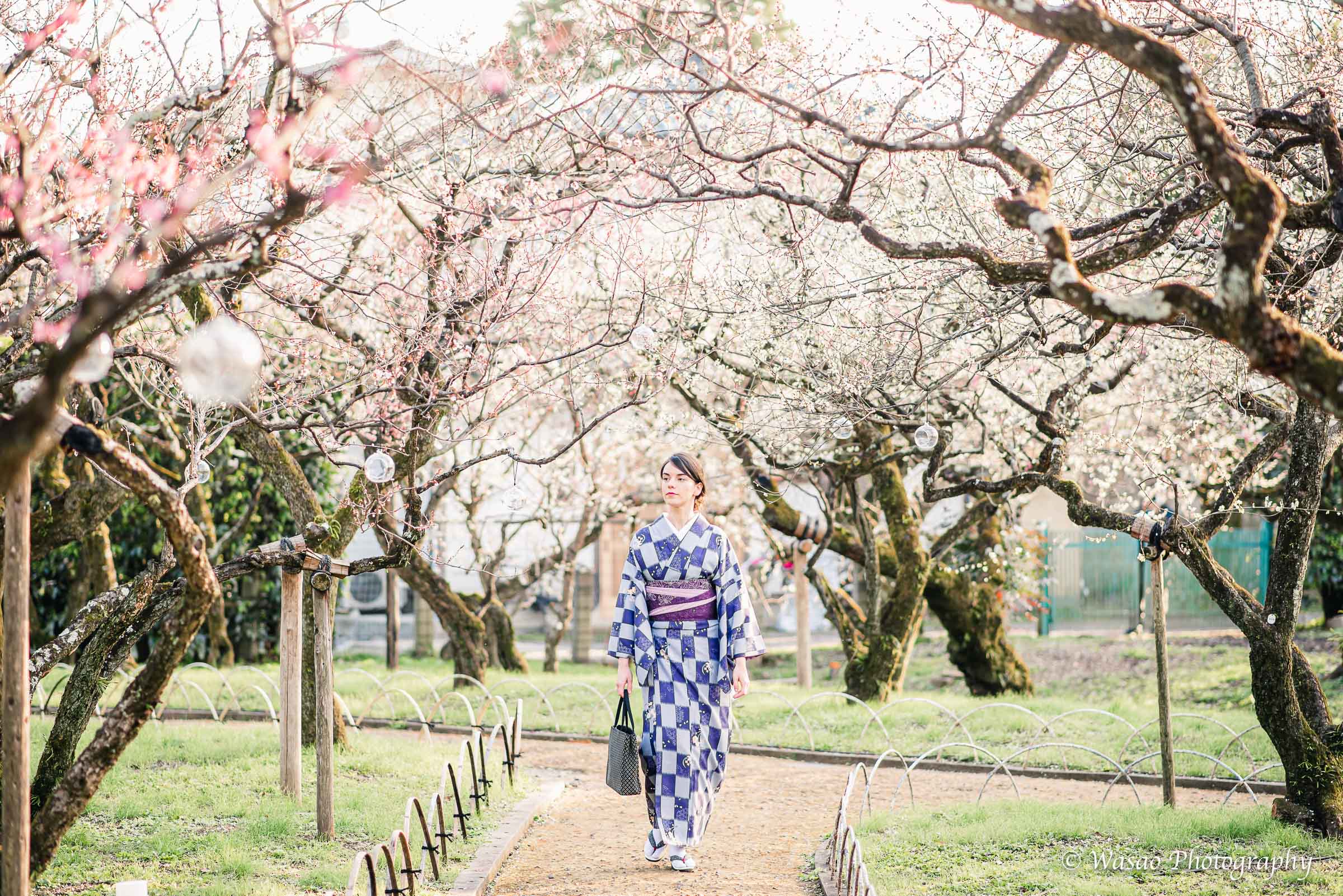 京都：北野天満宮