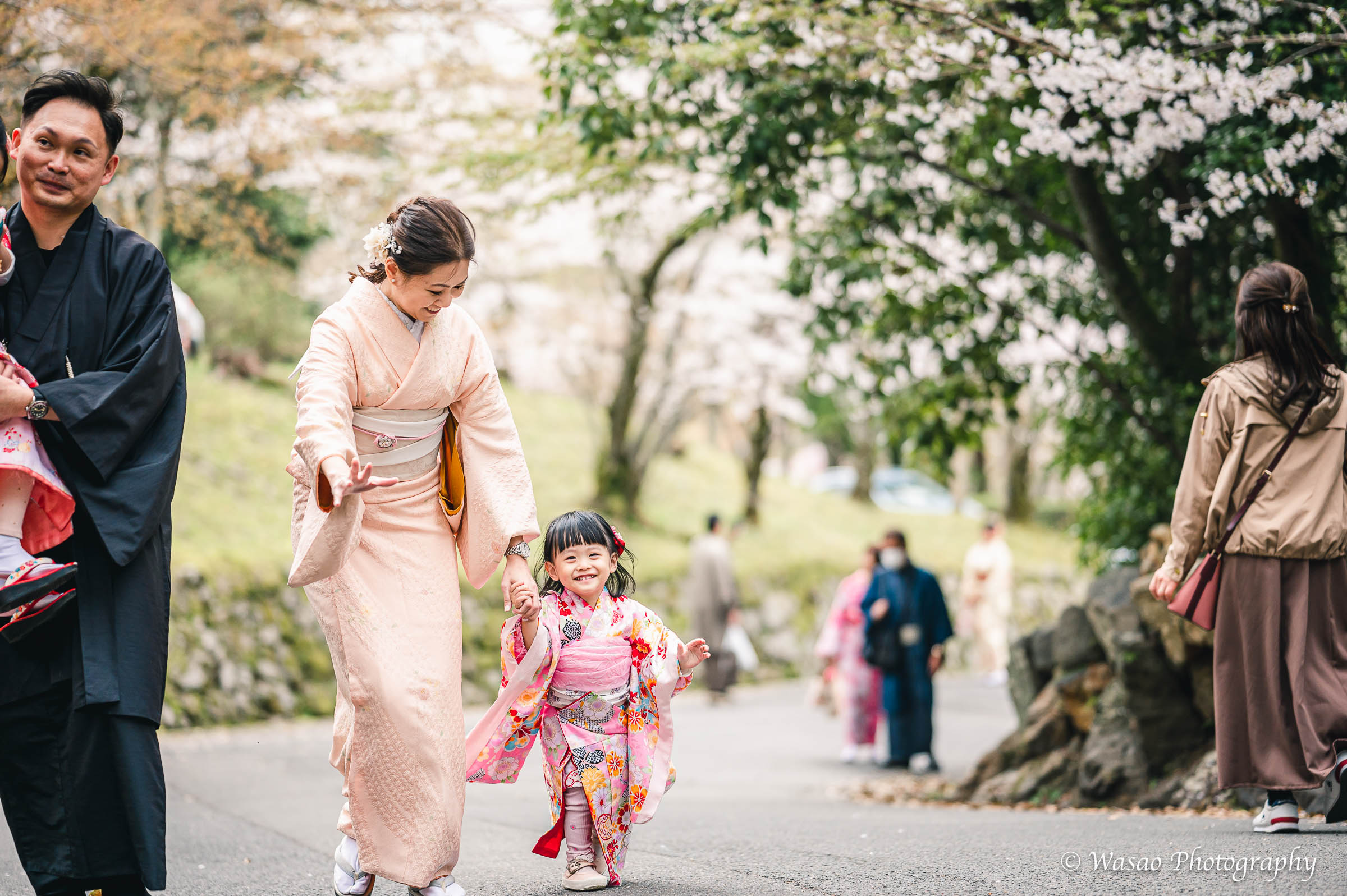 京都　東山　ねねの道　円山公園　知恩院　一本橋