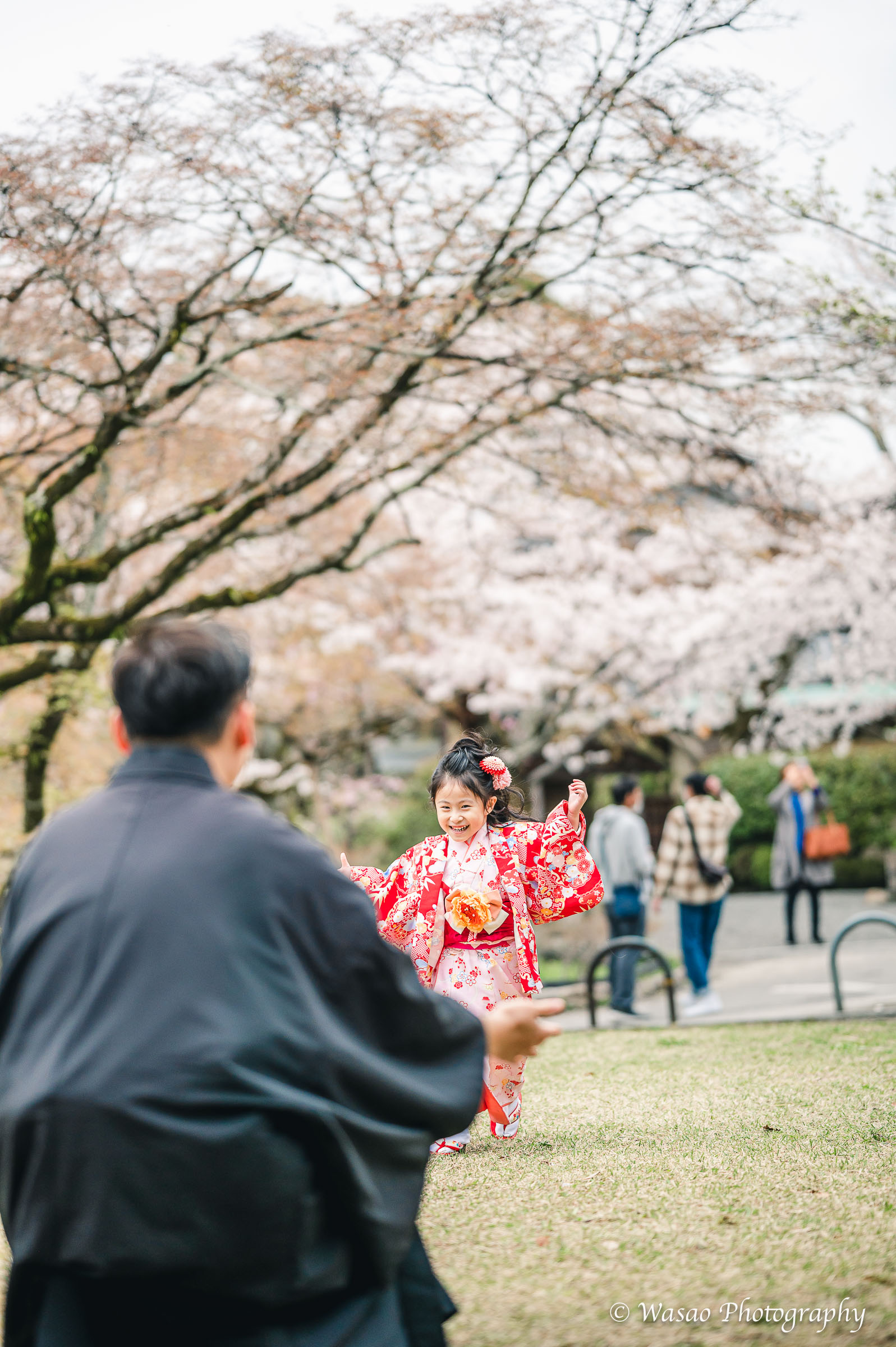 京都　東山　ねねの道　円山公園　知恩院　一本橋