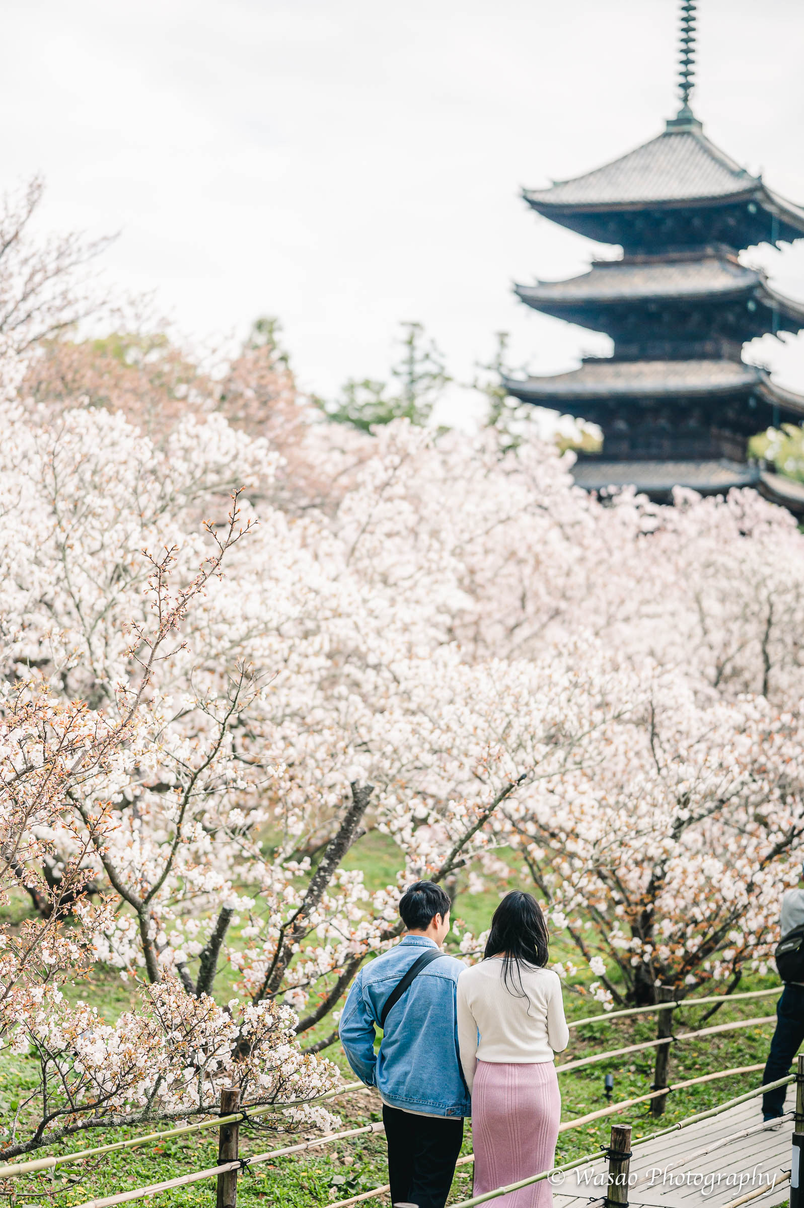 京都：仁和寺