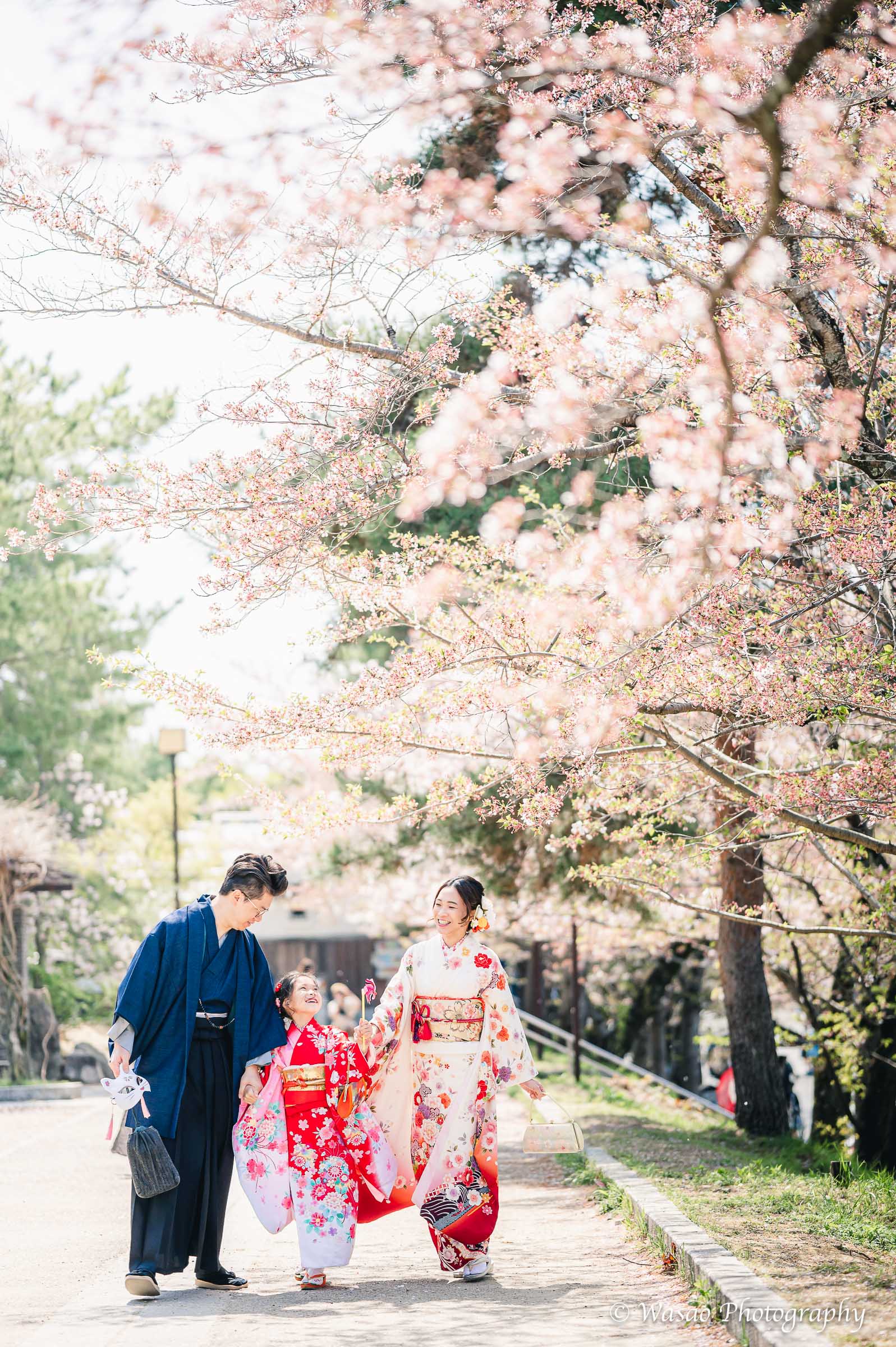 京都　東山　ねねの道　円山公園　知恩院　一本橋
