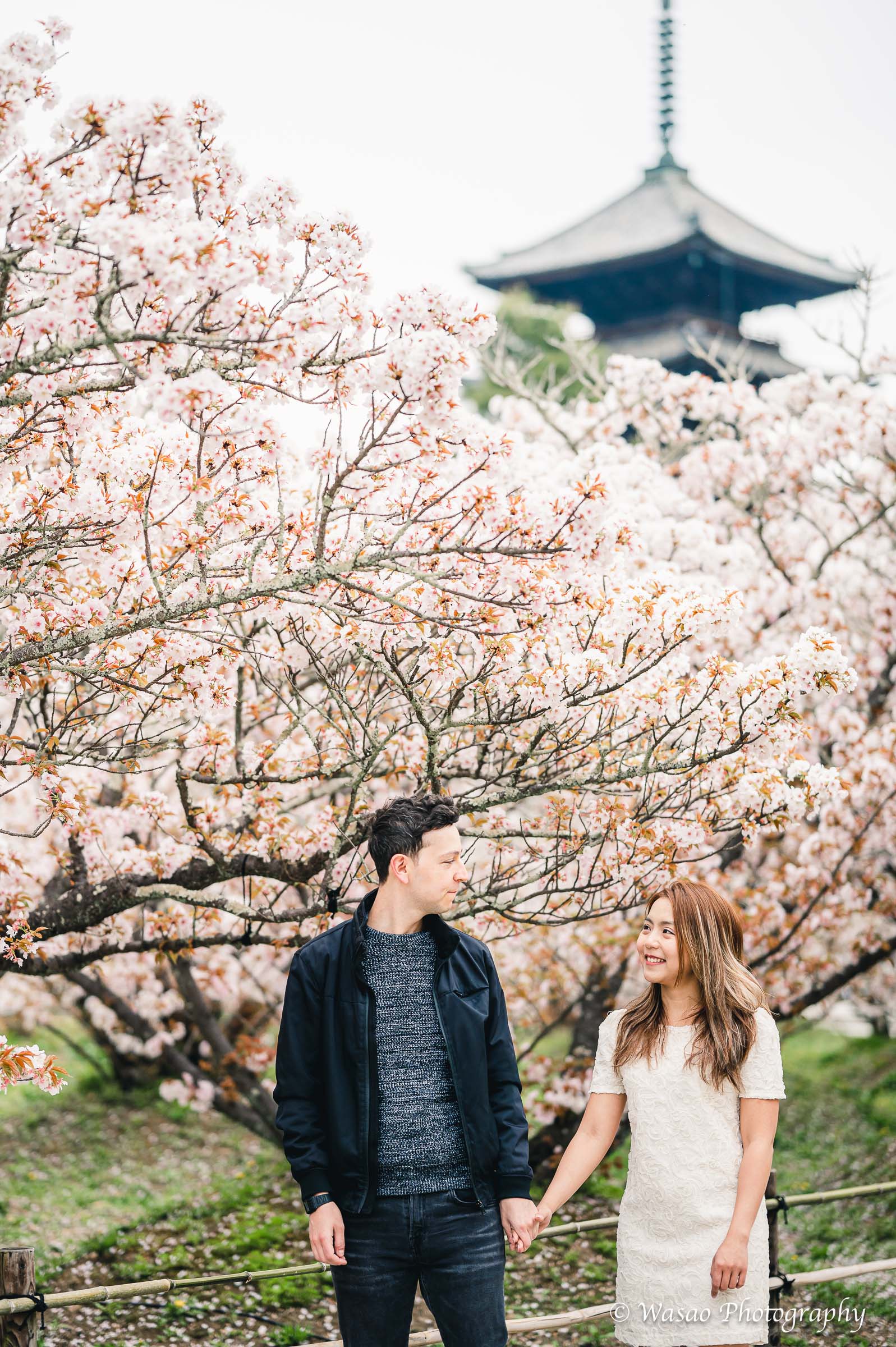 京都：仁和寺