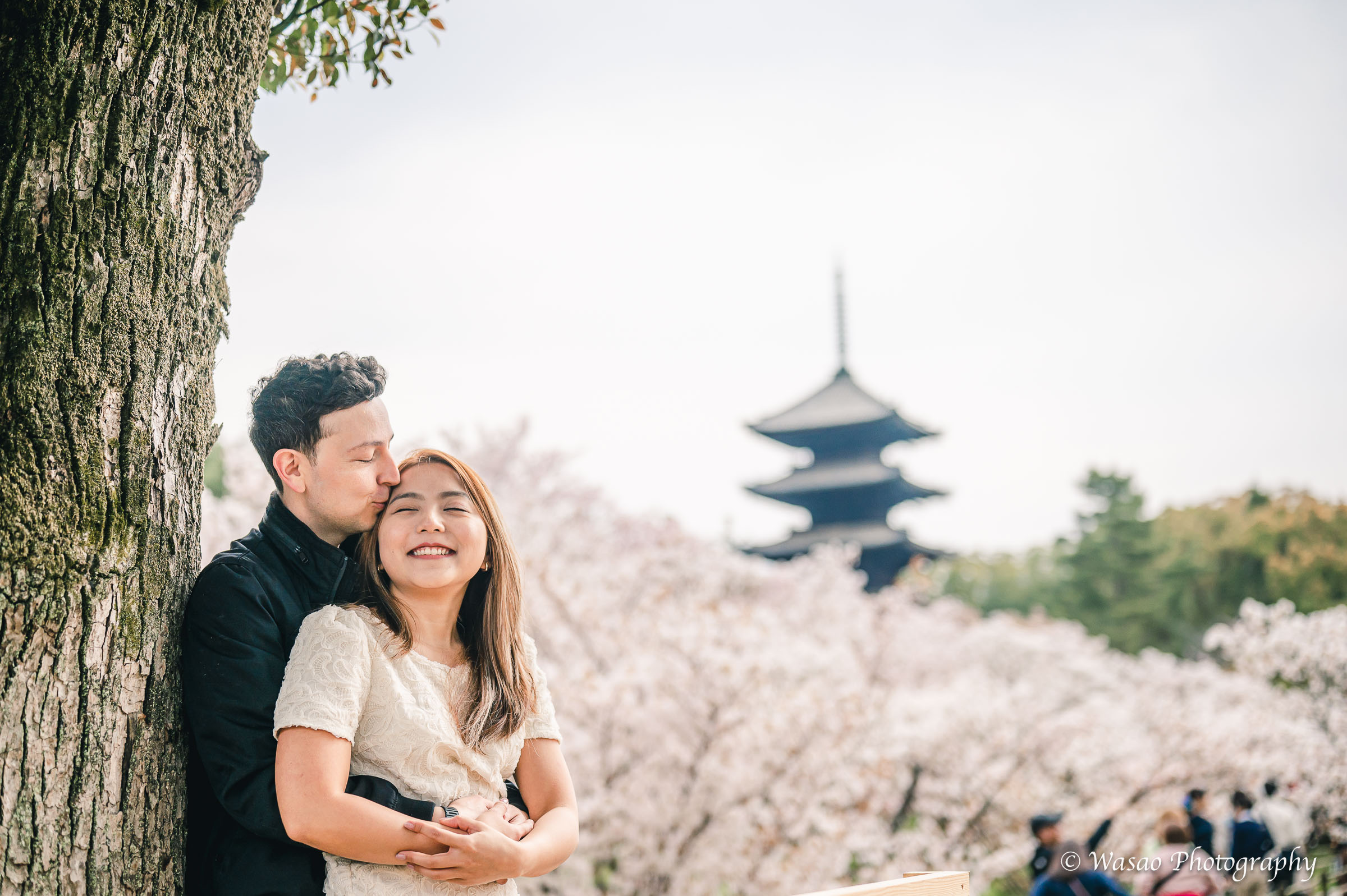京都：仁和寺
