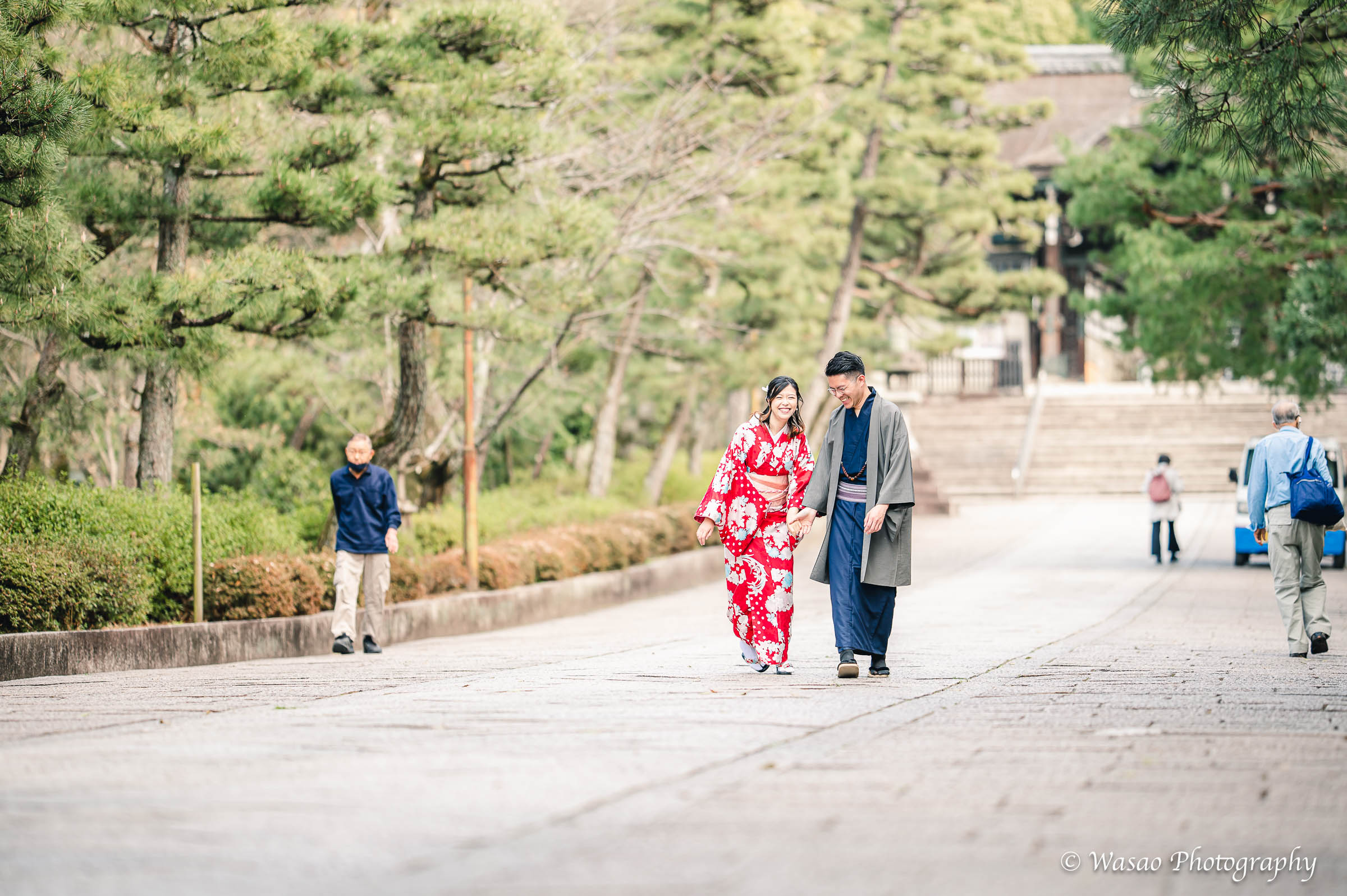 京都　東山　ねねの道　円山公園　知恩院　一本橋