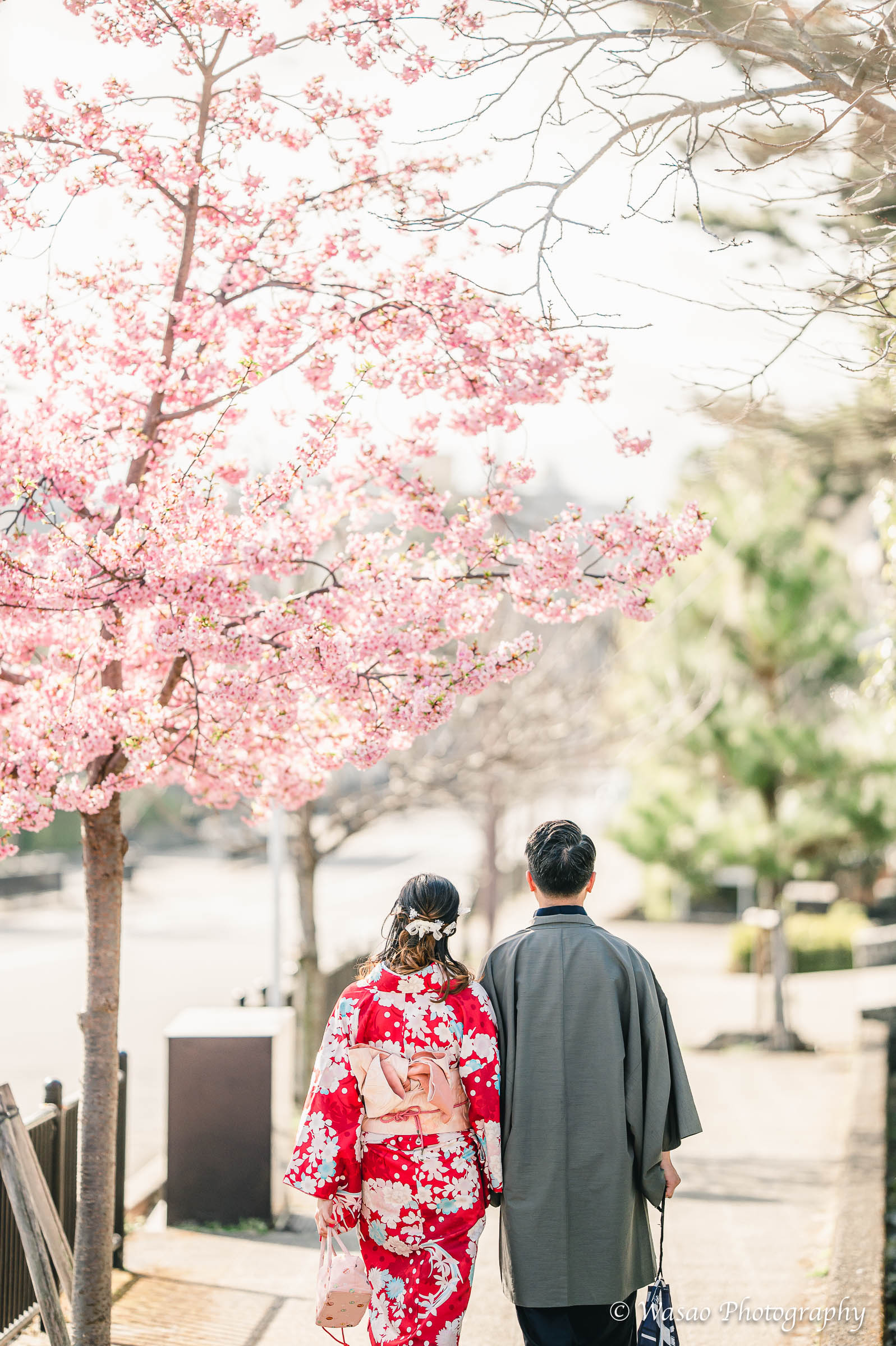 京都　東山　ねねの道　円山公園　知恩院　一本橋