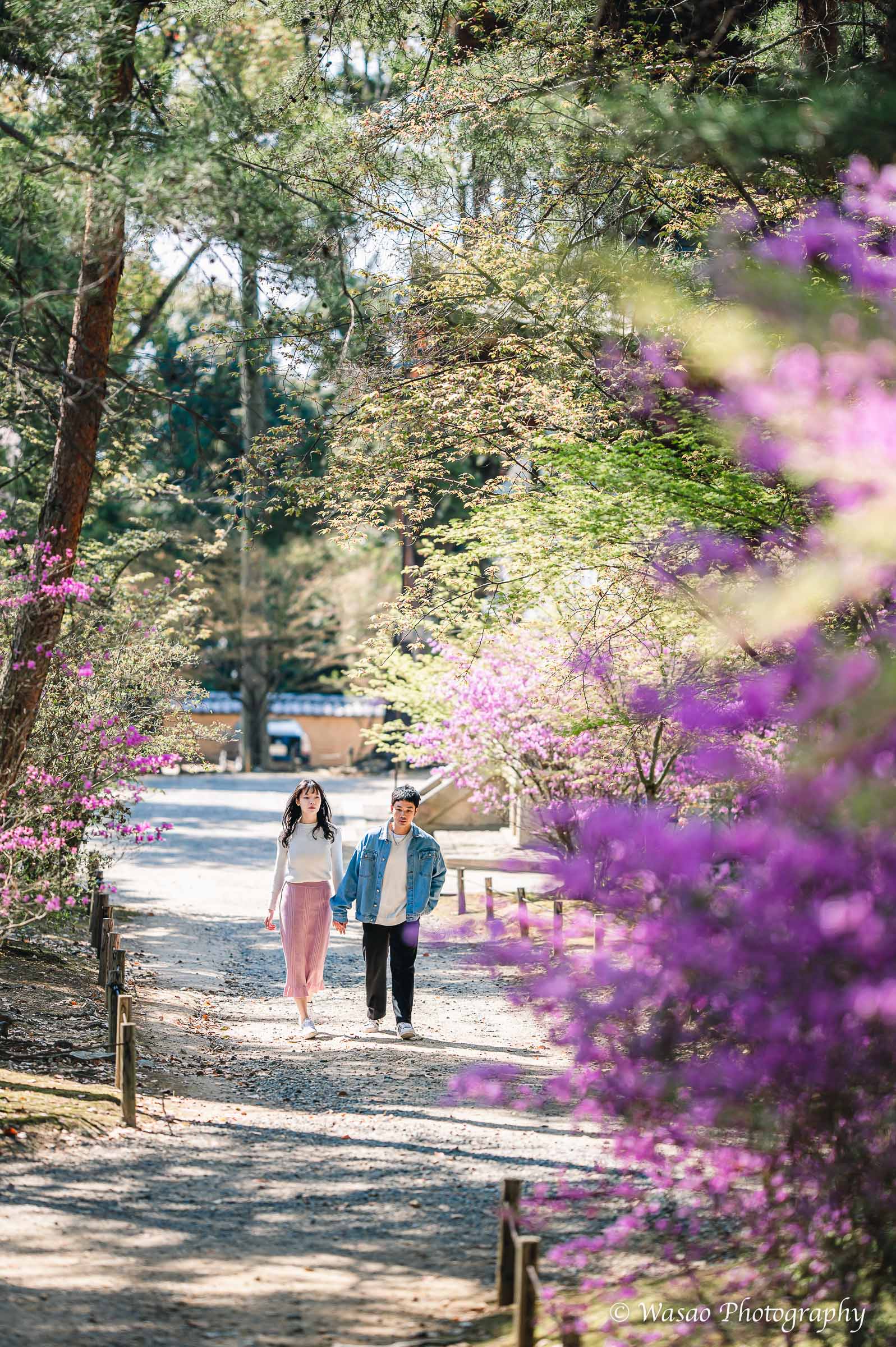 京都：仁和寺