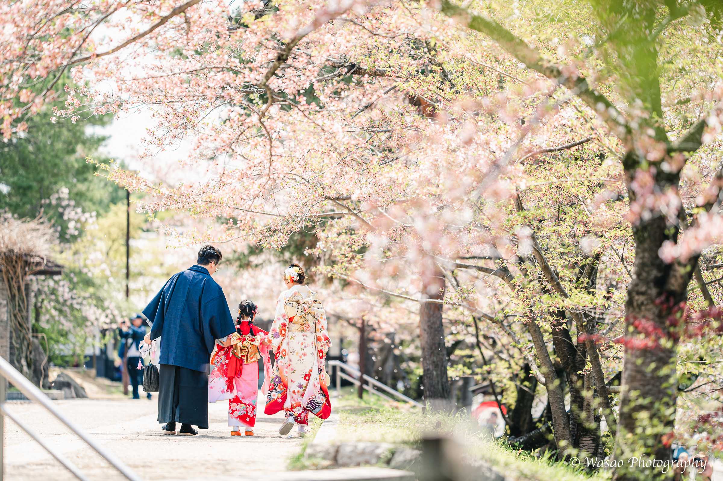 京都　東山　ねねの道　円山公園　知恩院　一本橋