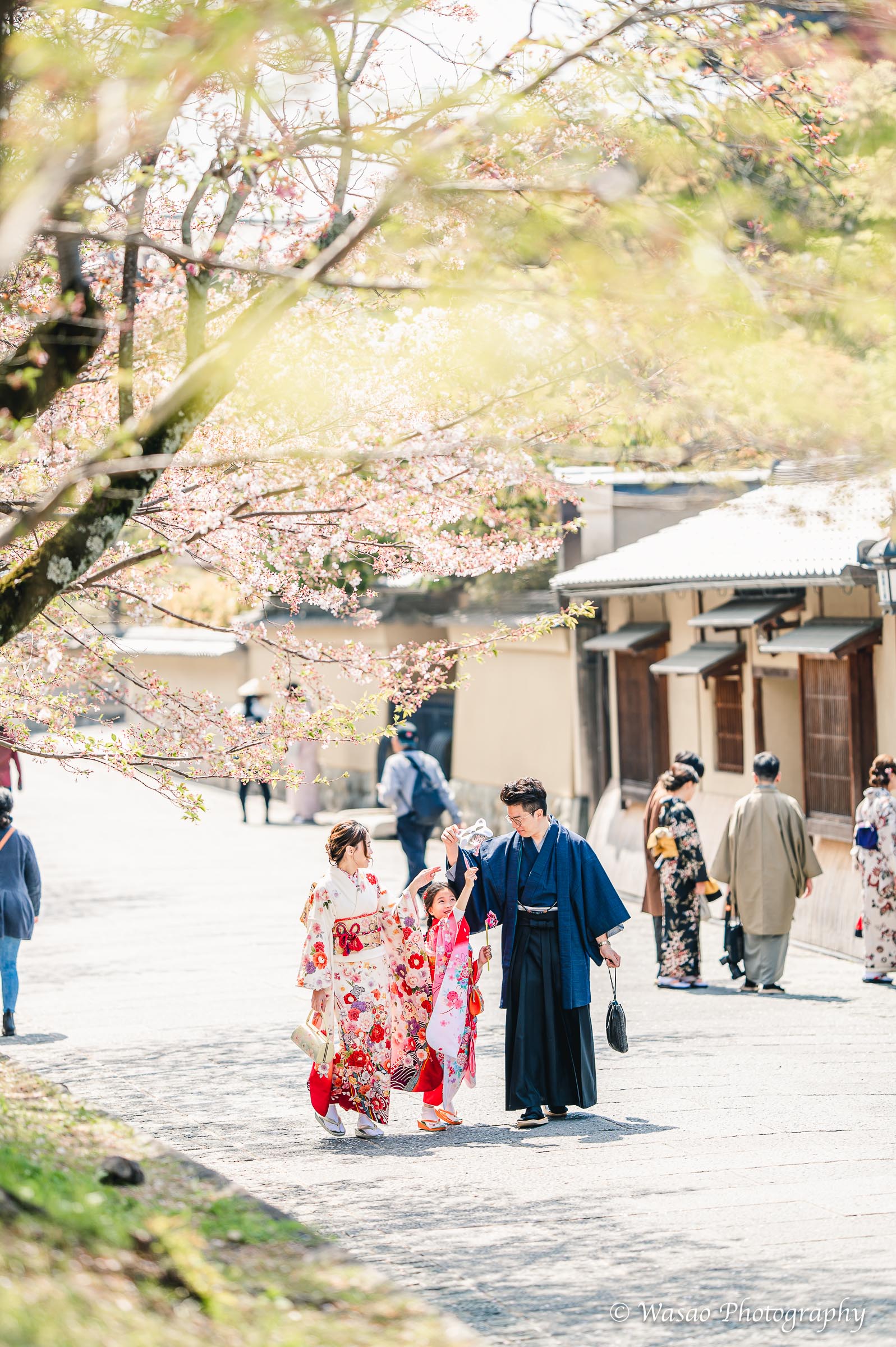 京都　東山　ねねの道　円山公園　知恩院　一本橋
