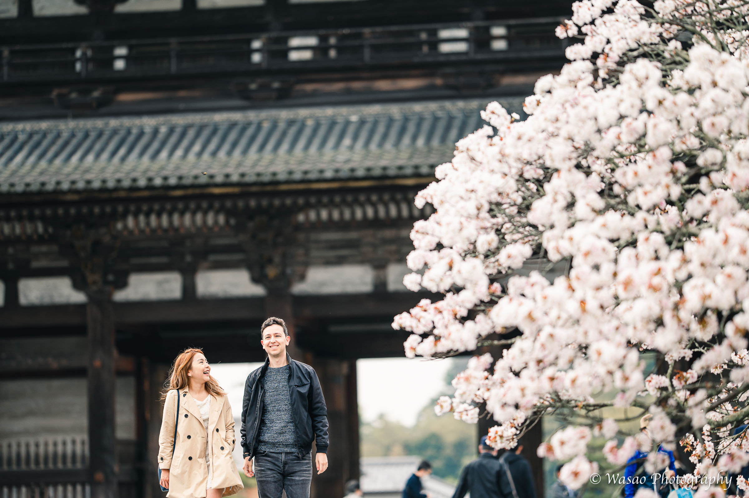 京都：仁和寺