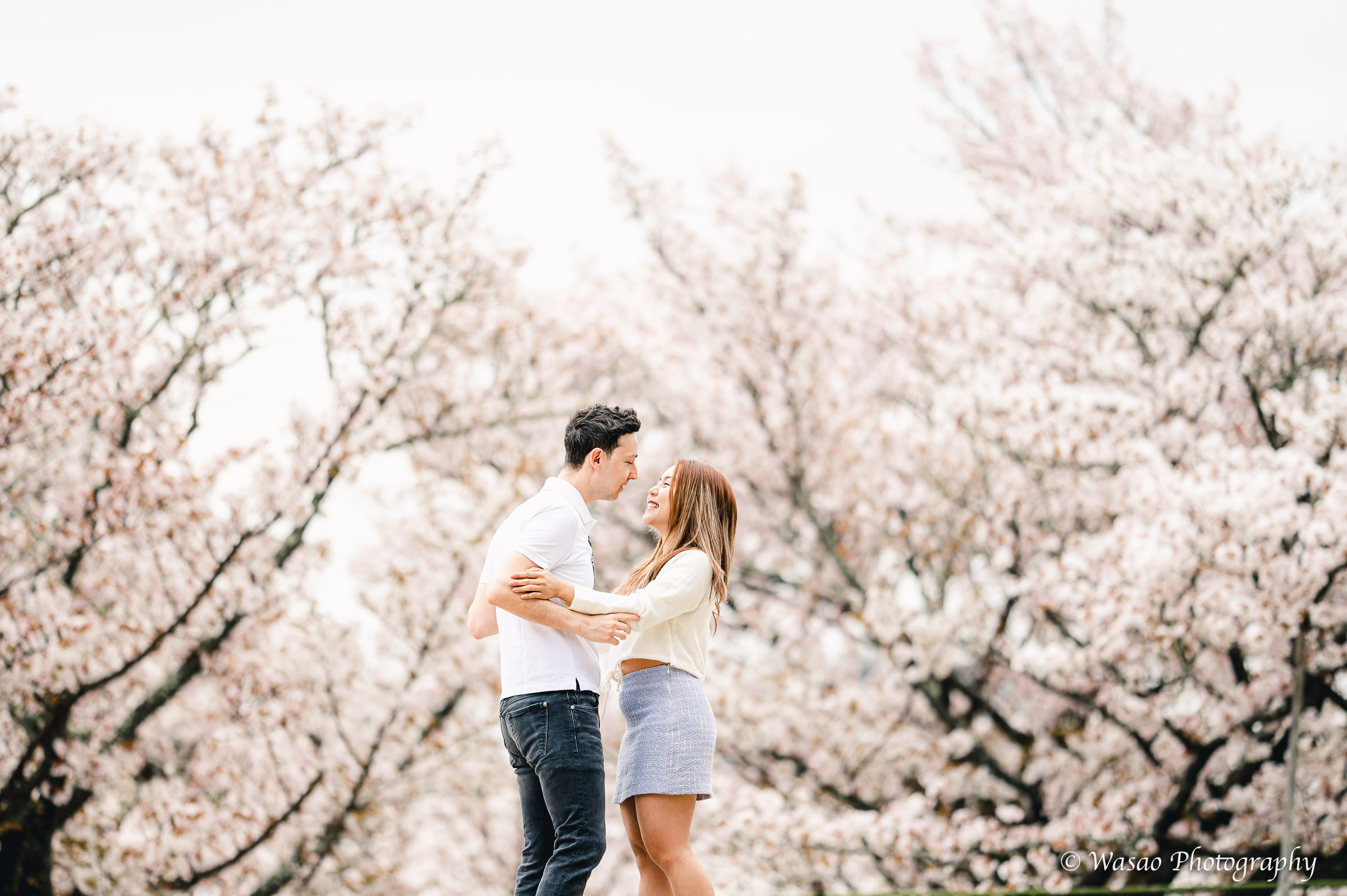 京都：仁和寺