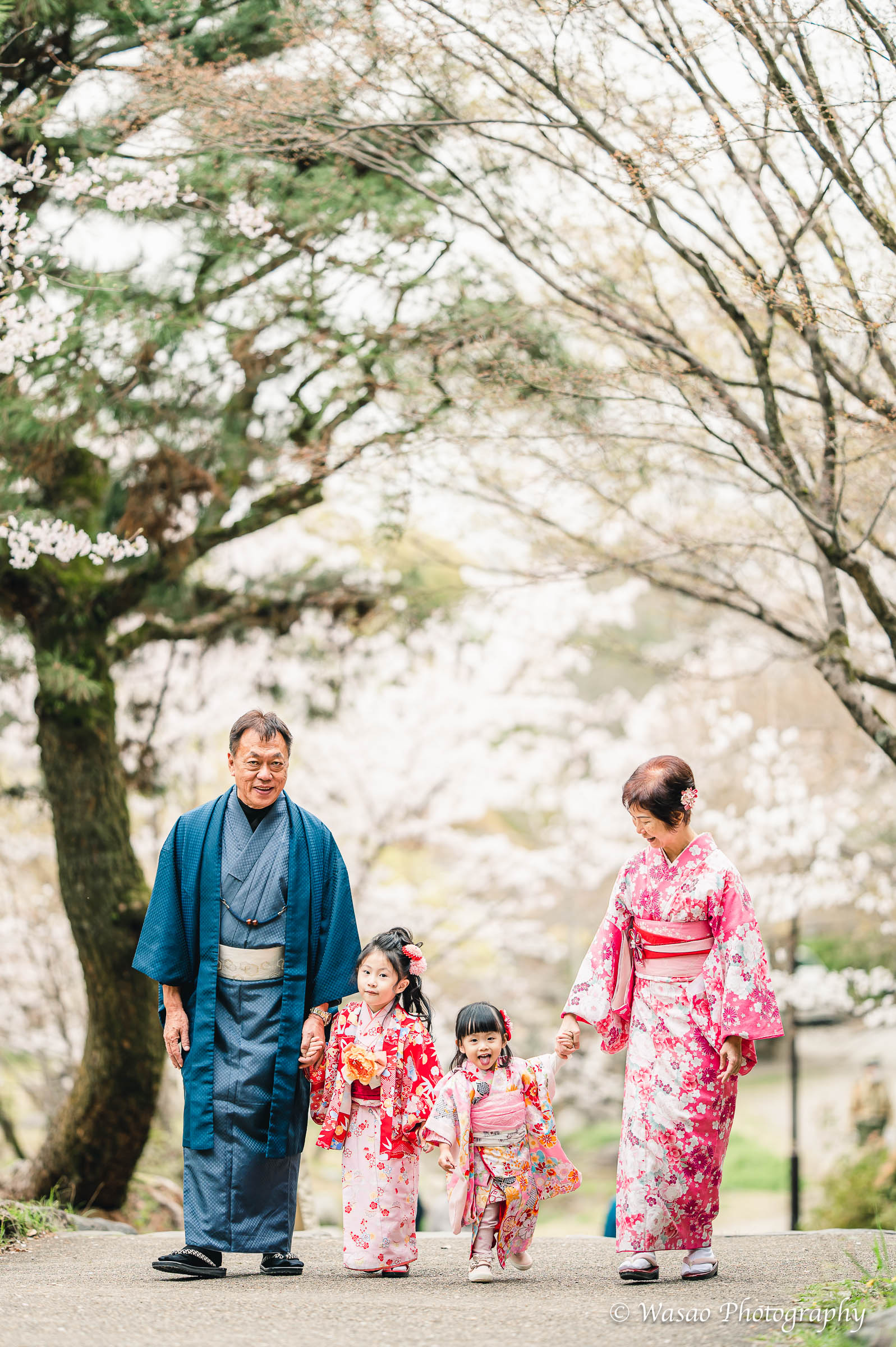 京都　東山　ねねの道　円山公園　知恩院　一本橋