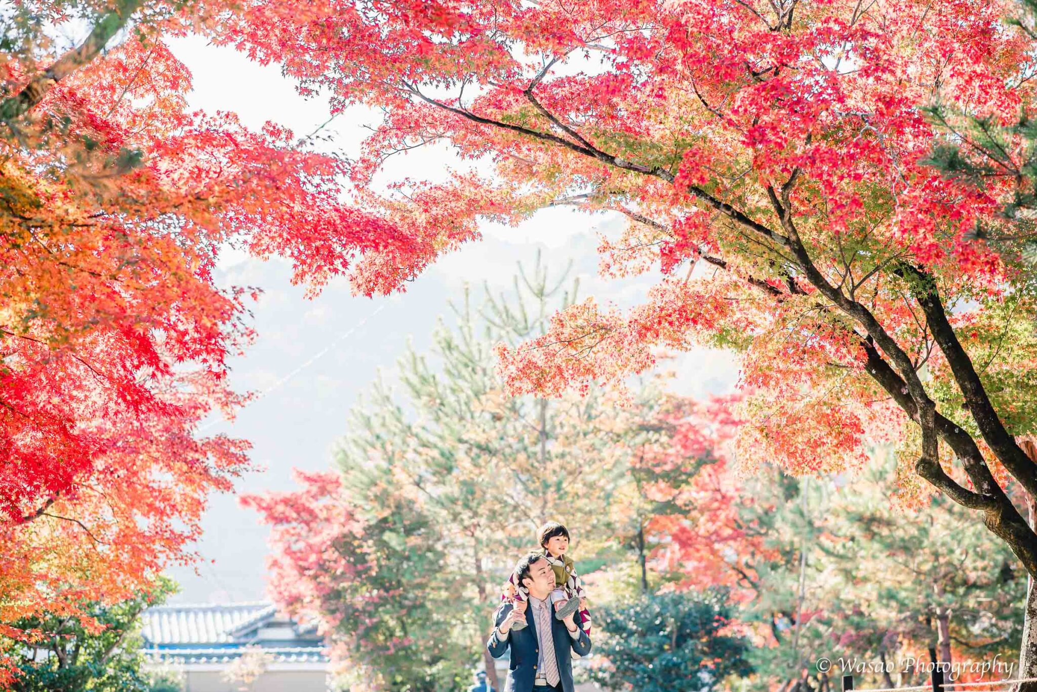 京都：嵐山