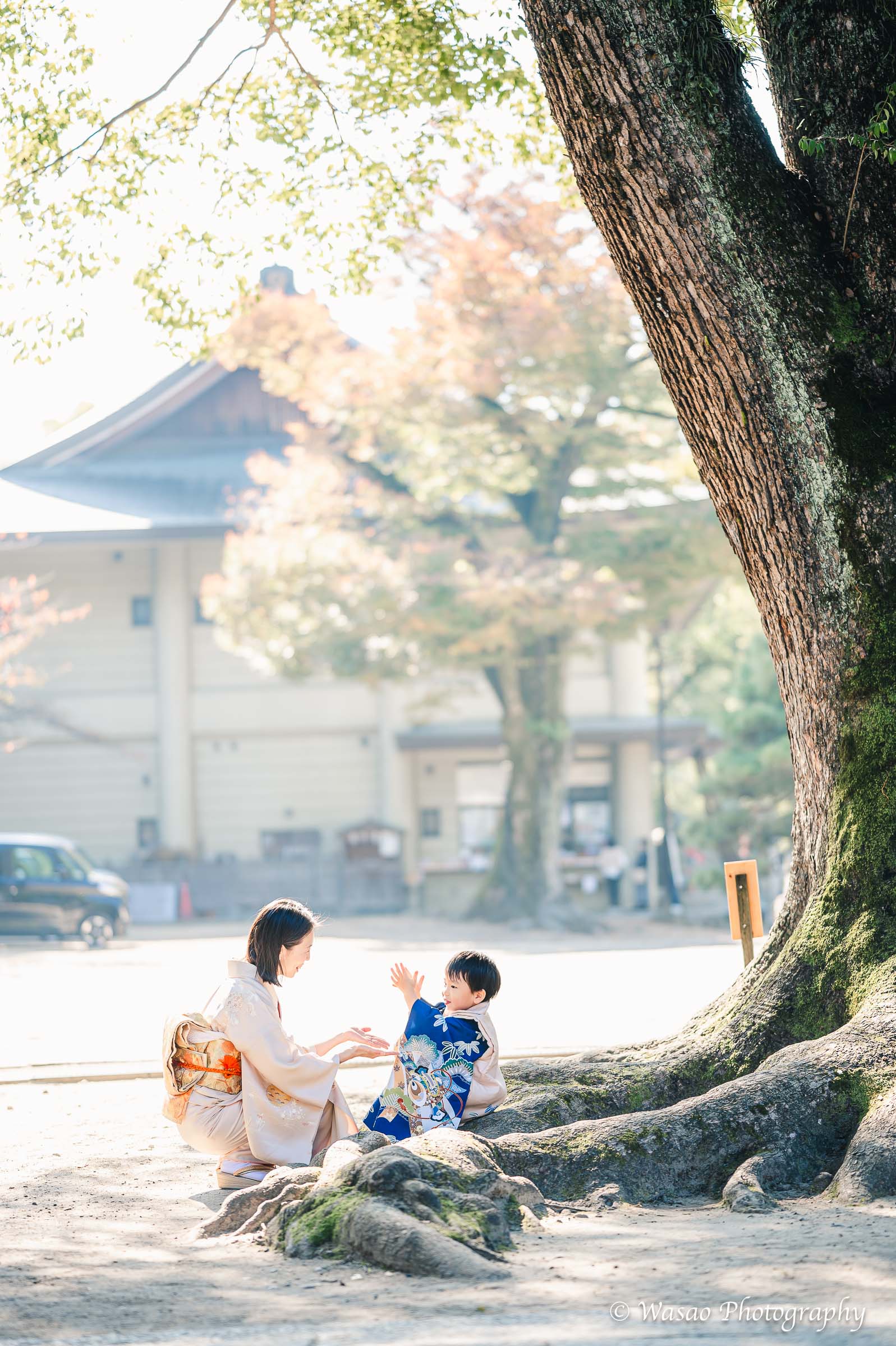 京都：藤森神社