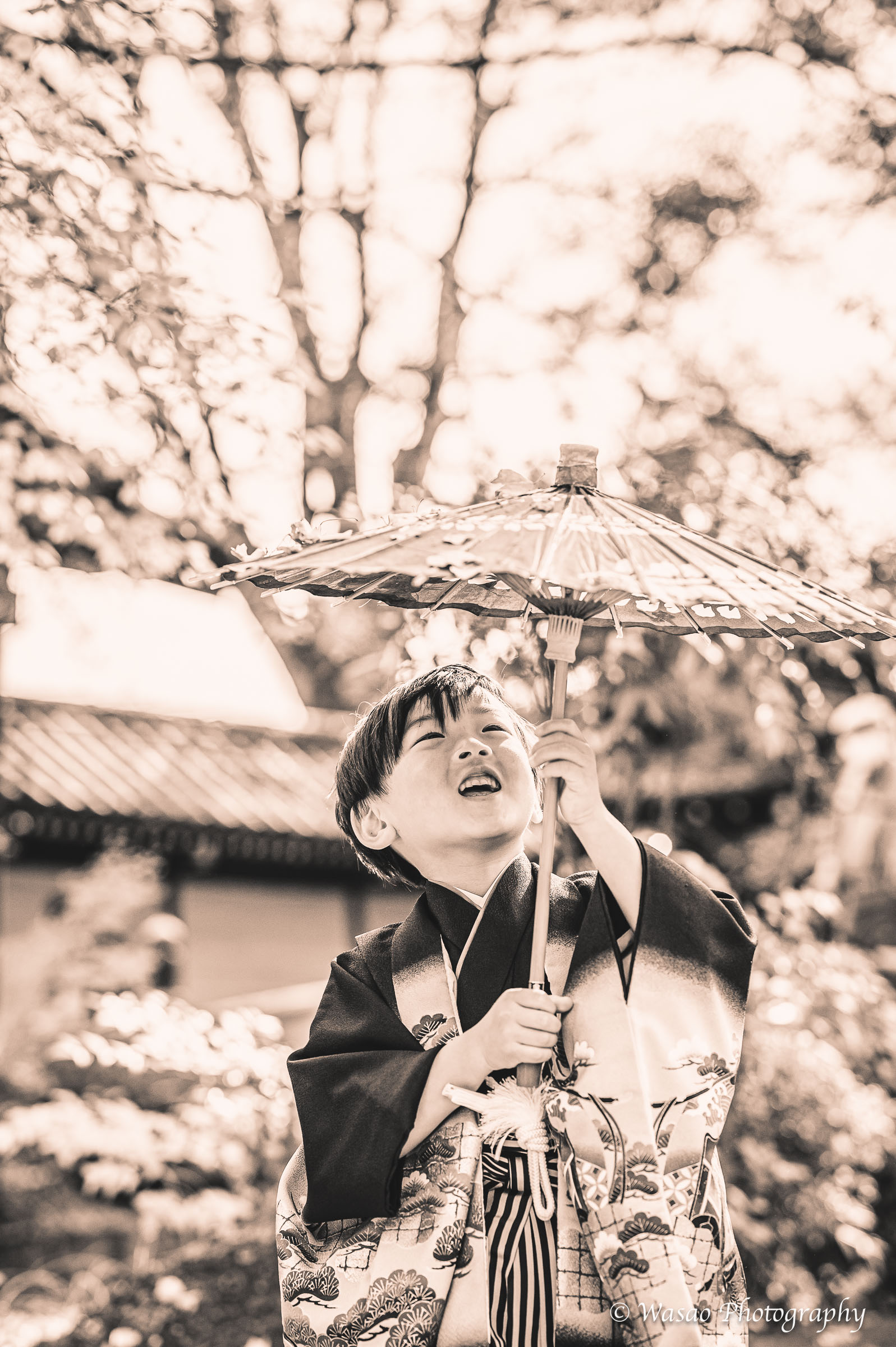 京都：今宮神社