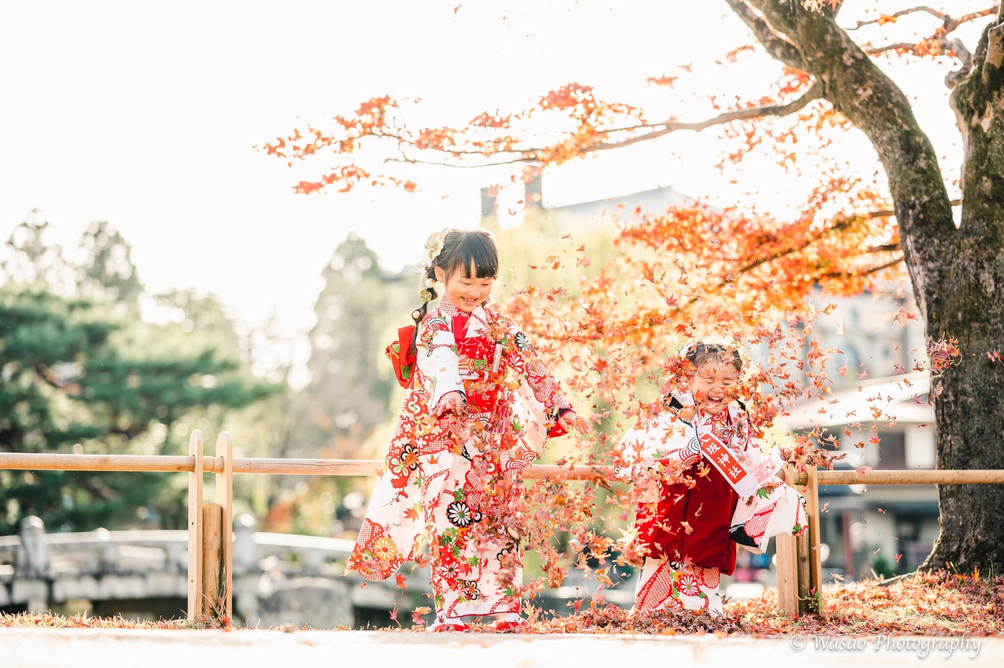 京都：円山公園