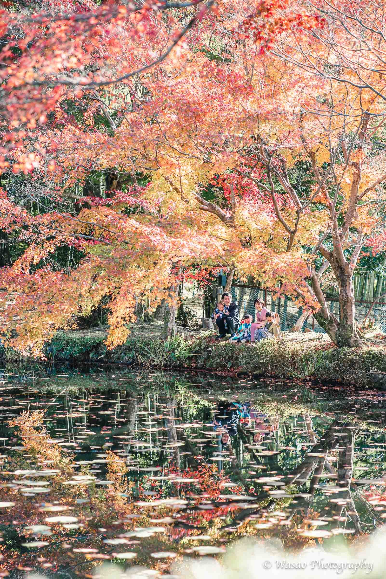 京都：大原野神社