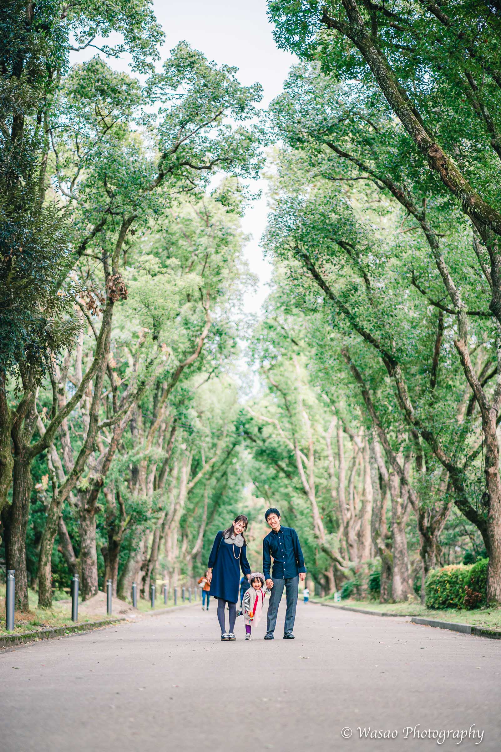 京都：植物園