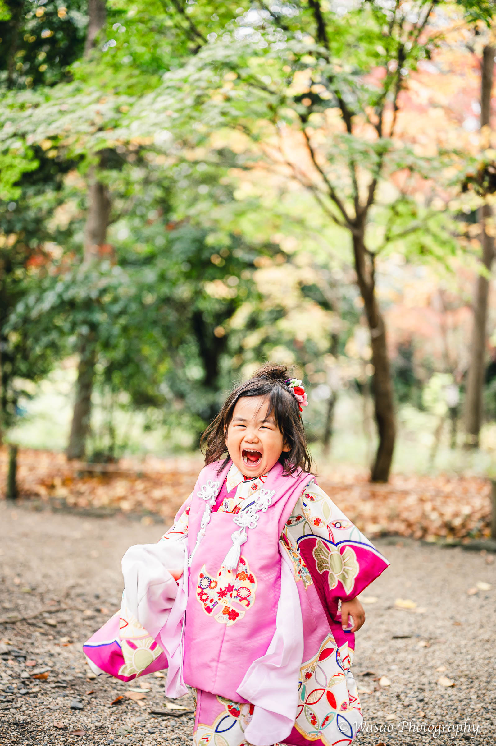 京都：下鴨神社