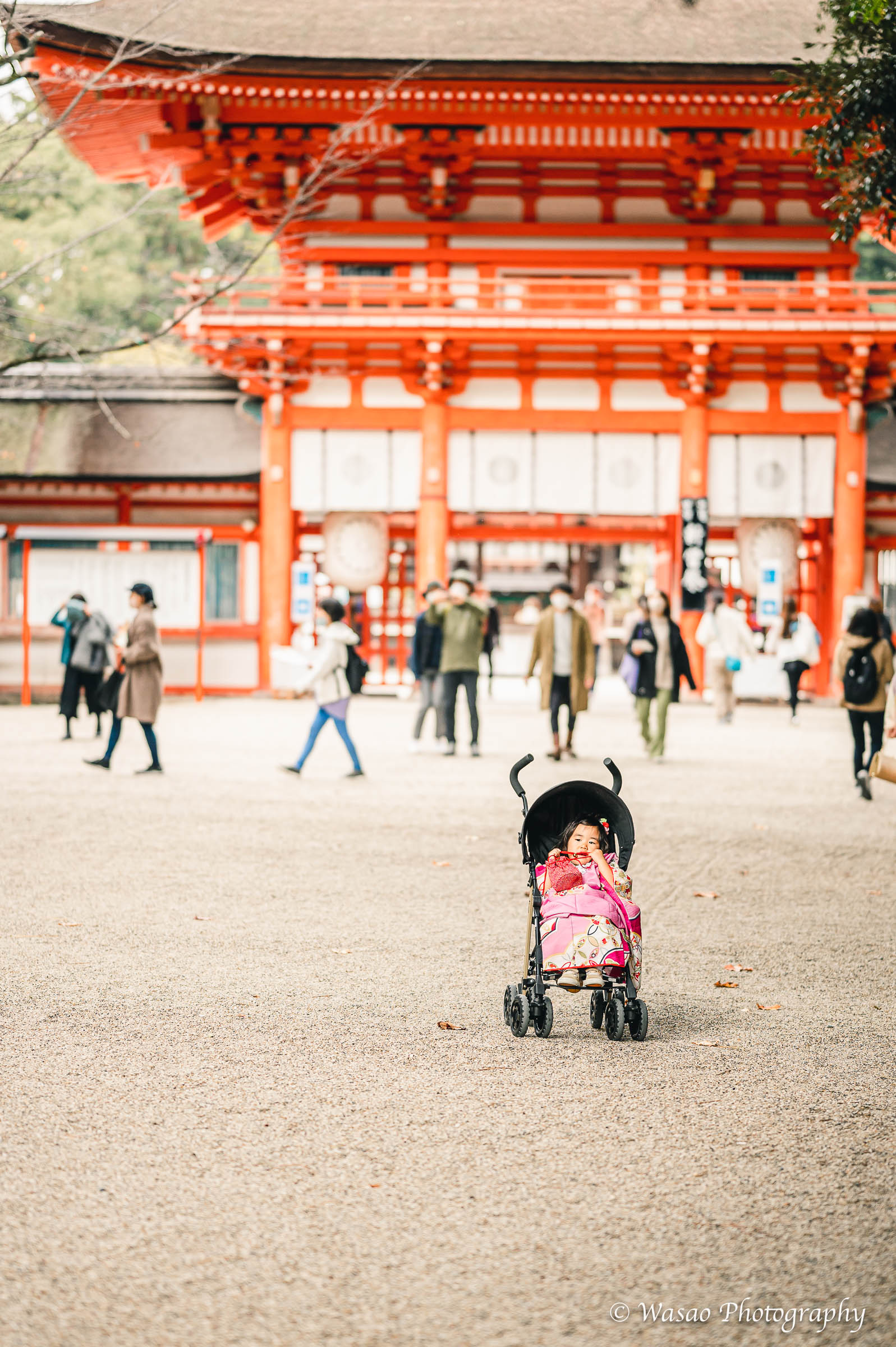 京都：下鴨神社