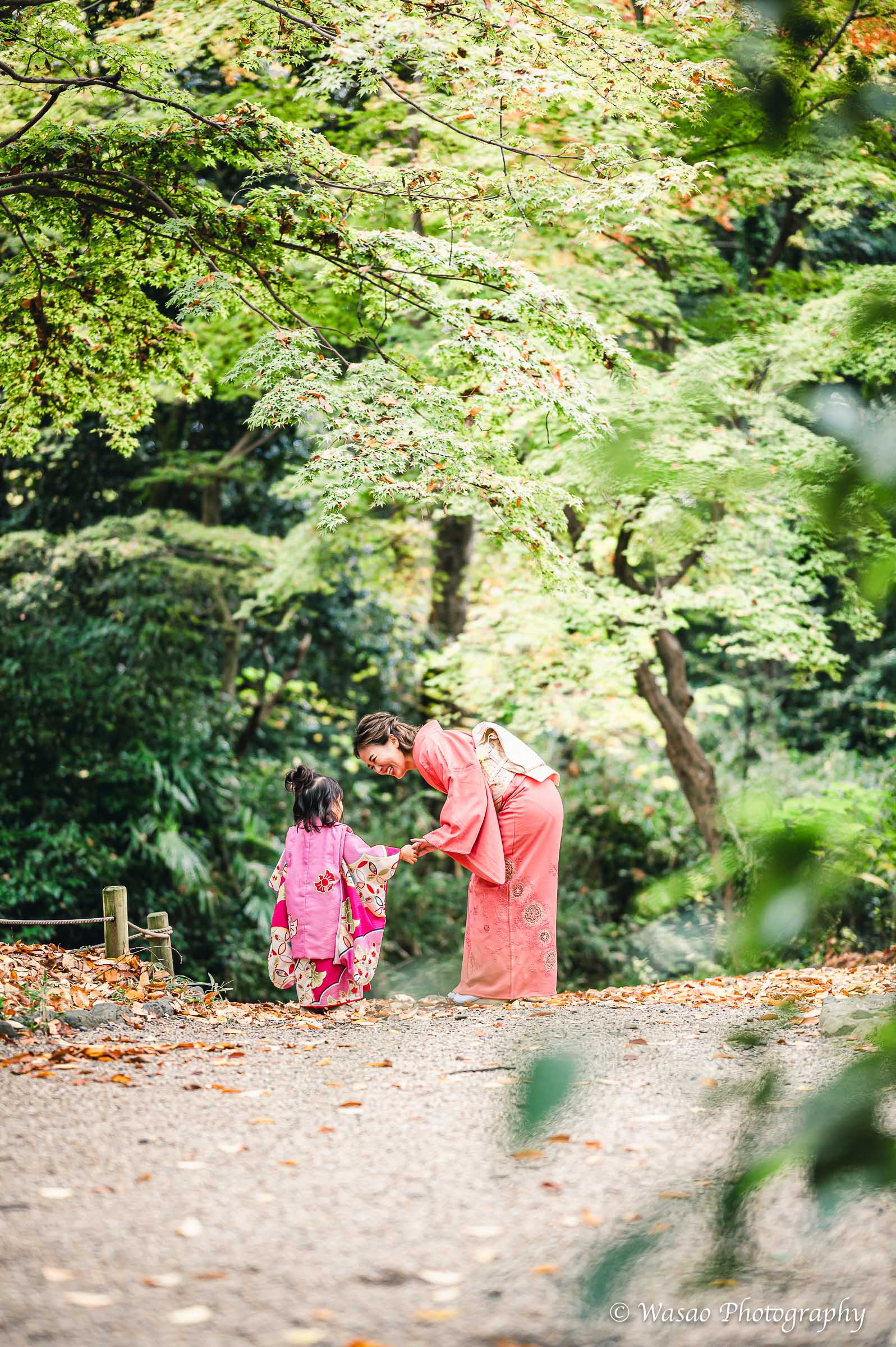 京都：下鴨神社