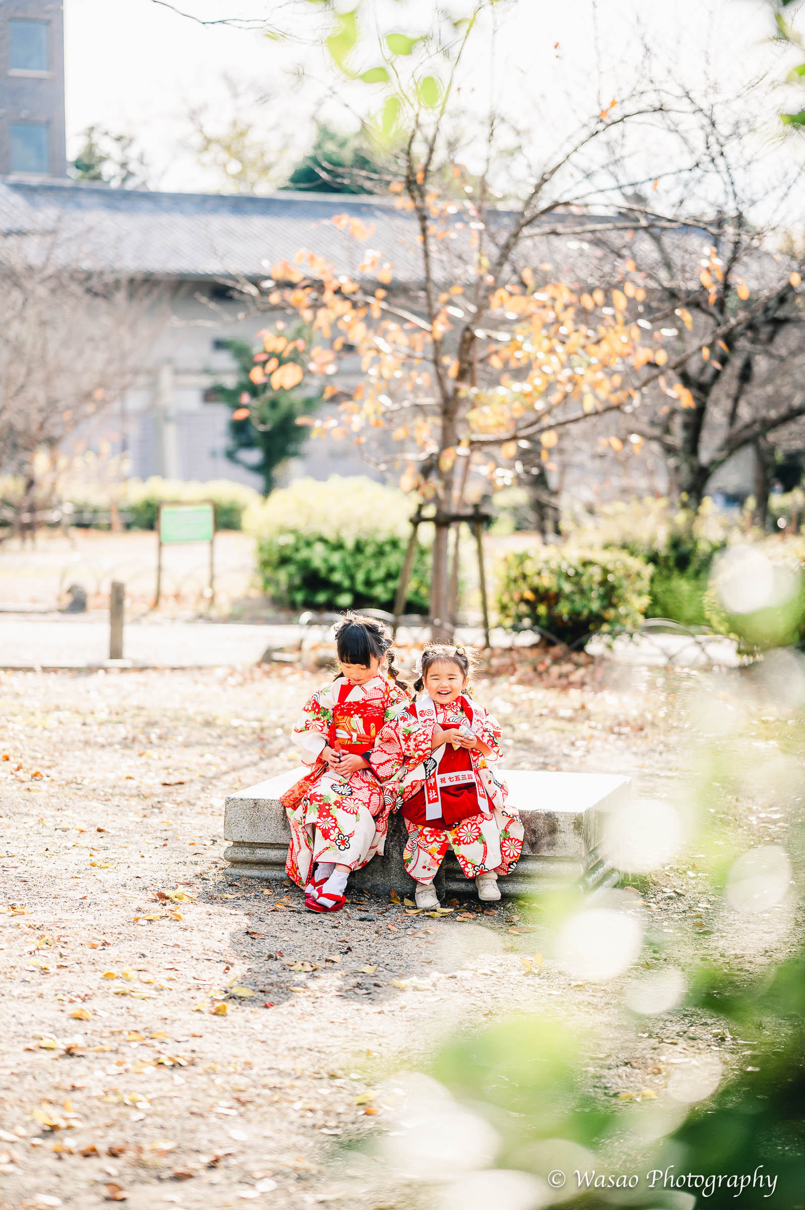 京都：円山公園