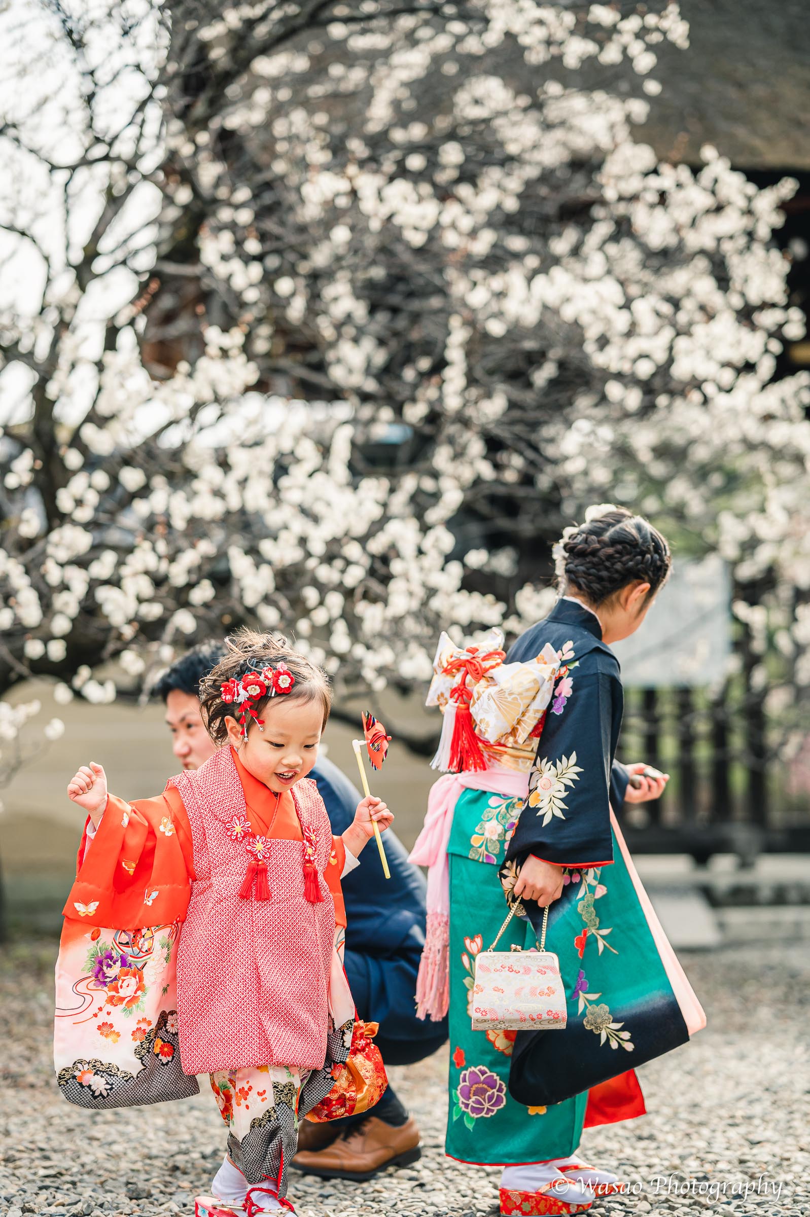 京都：梅宮大社