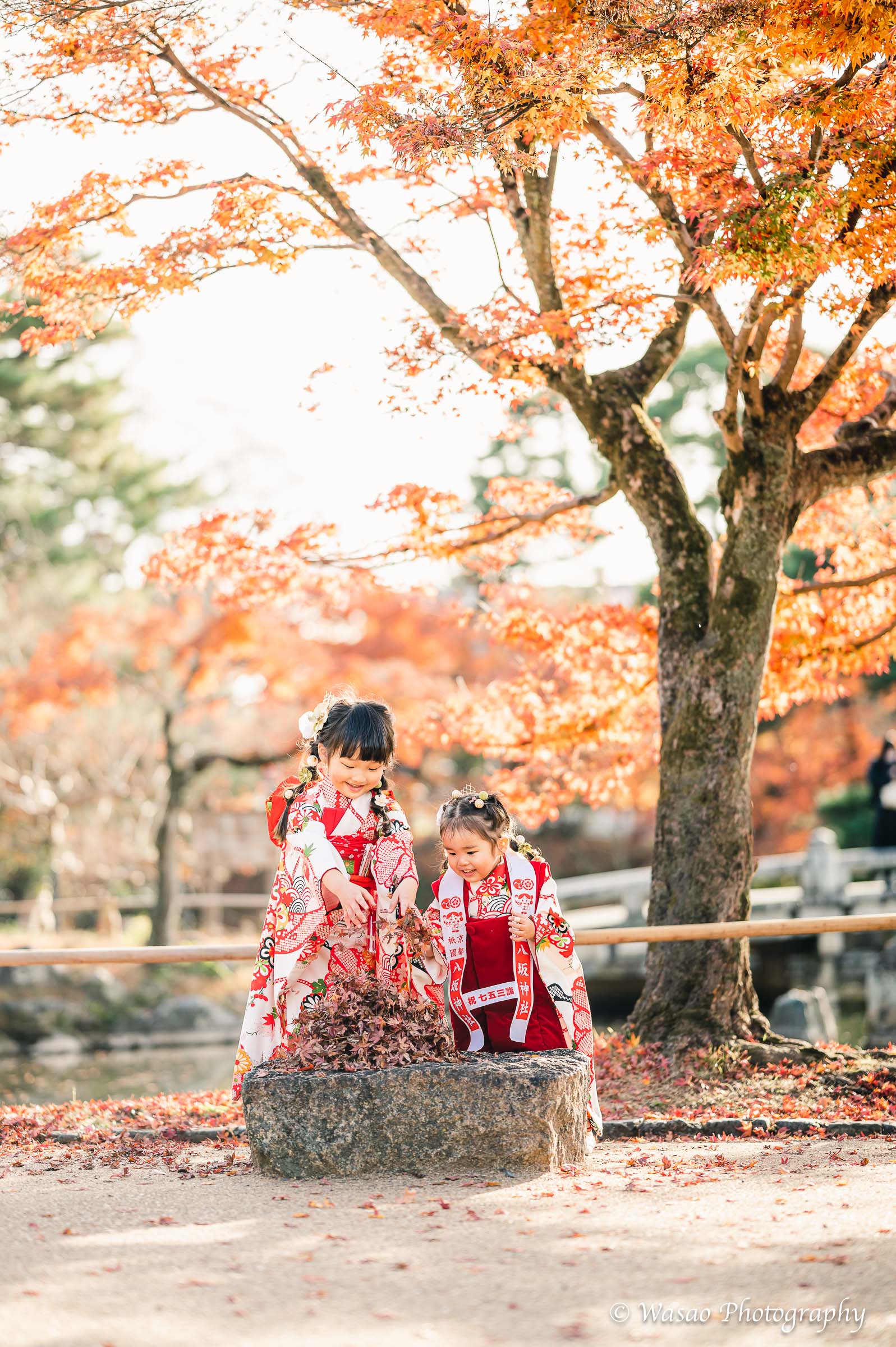京都：円山公園