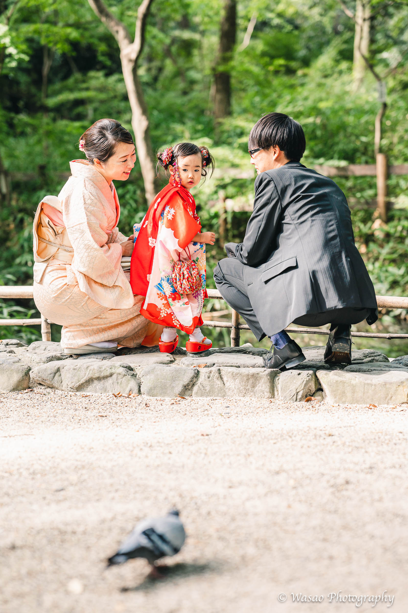 京都七五三：下鴨神社