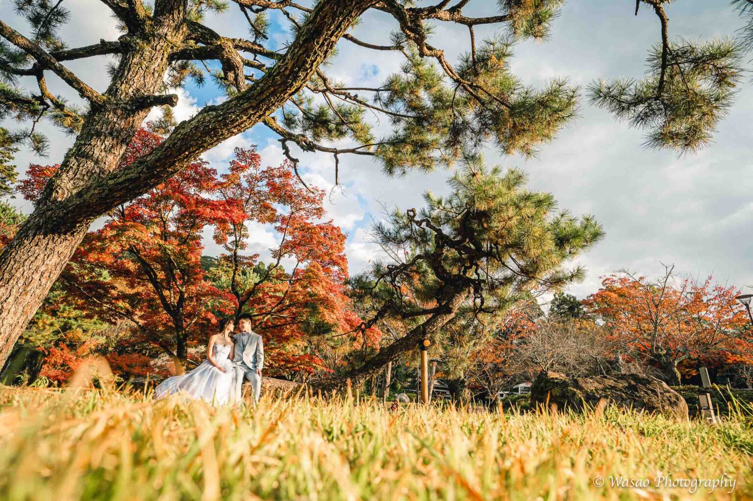 洋装前撮り　円山公園