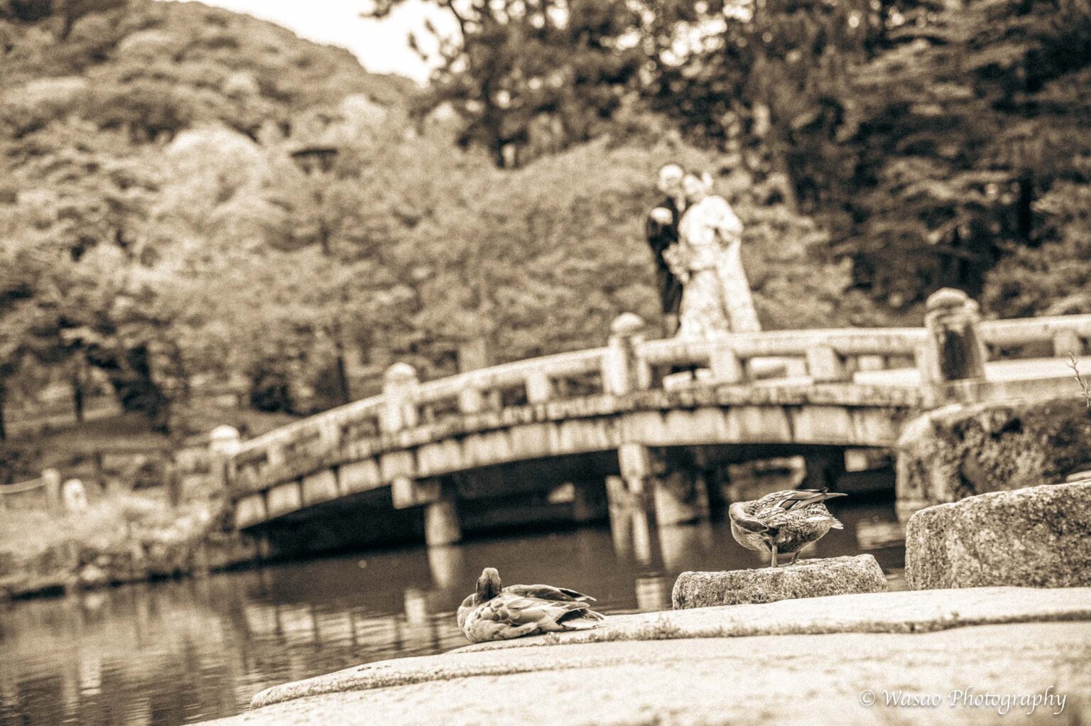 和装前撮り　円山公園