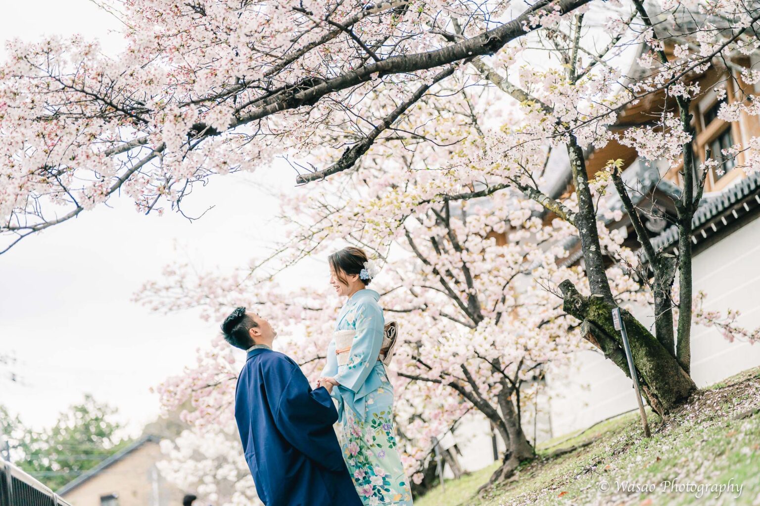 京都着物　仁和寺