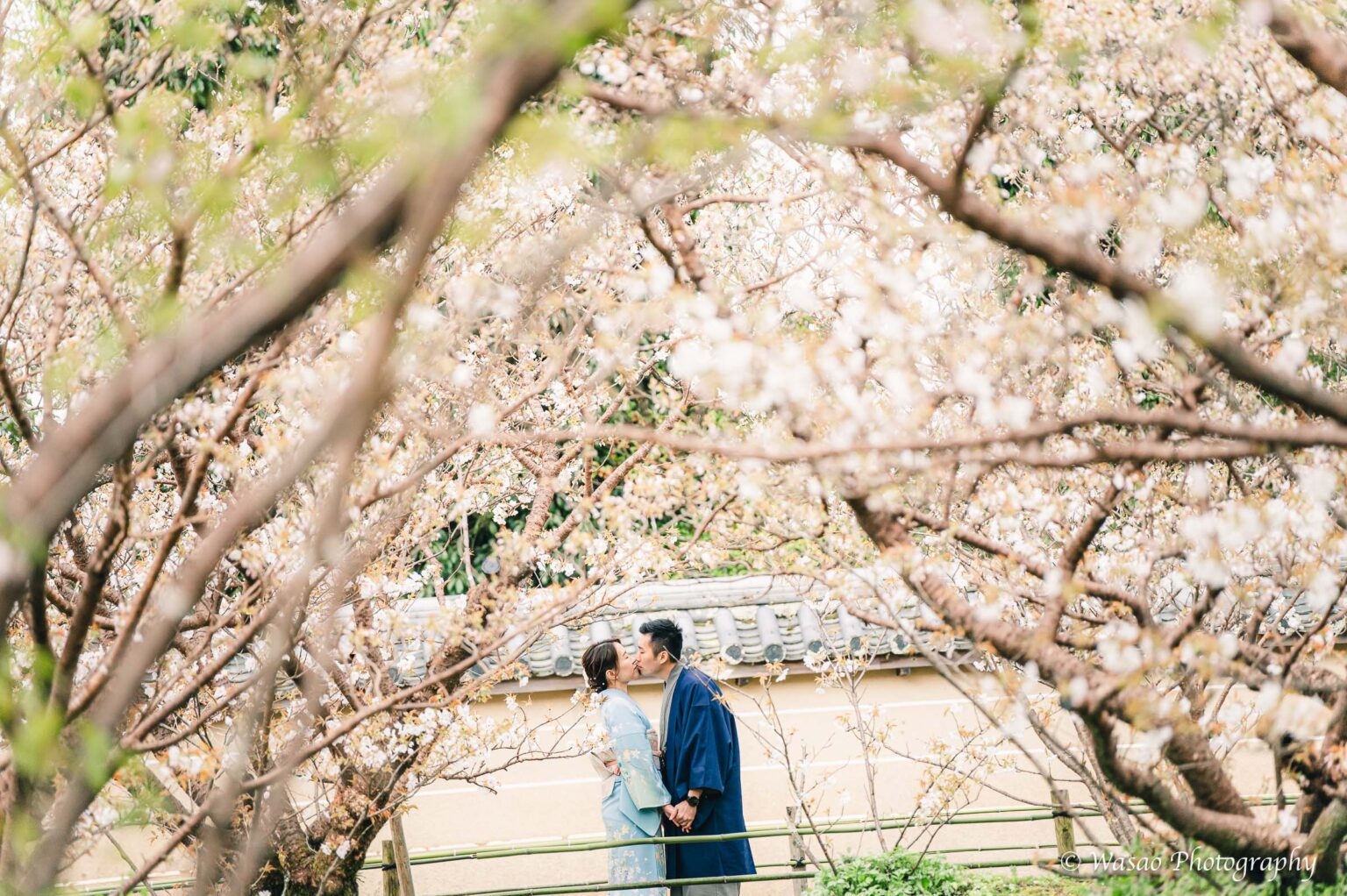 京都着物　仁和寺