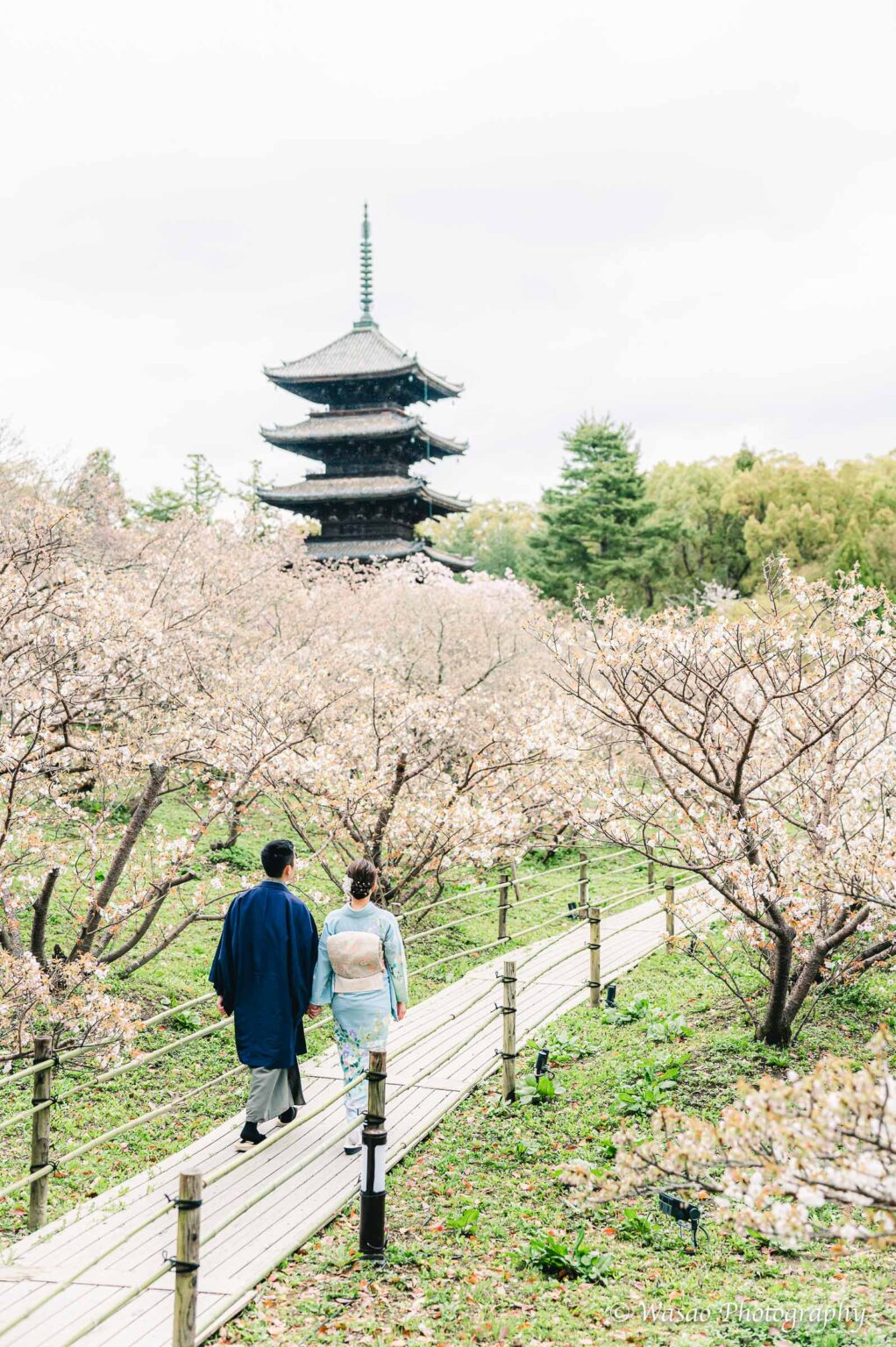 京都着物　仁和寺